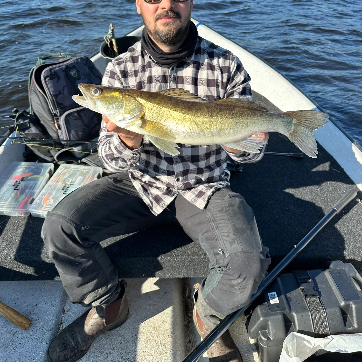 most liked catch image