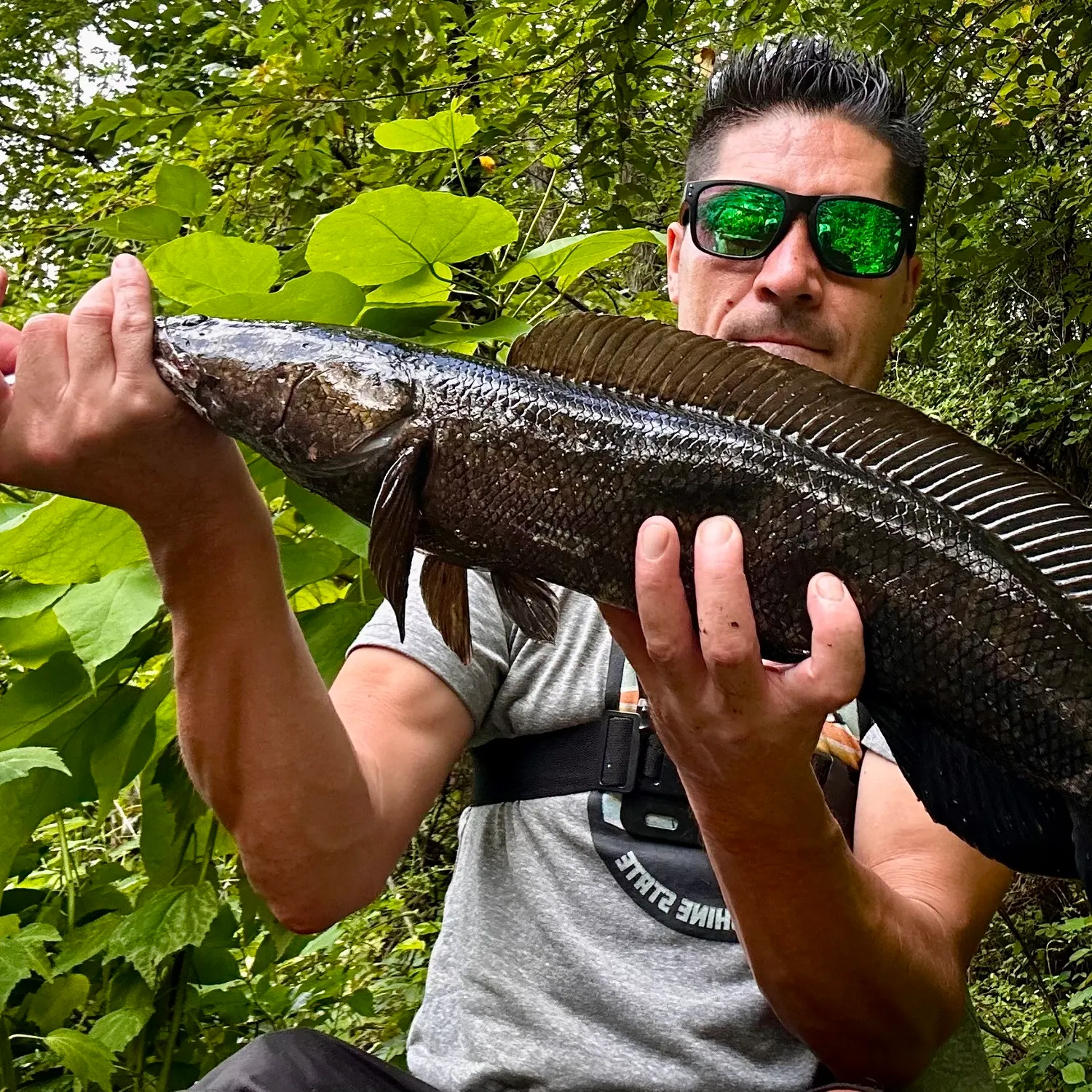 Eyetail bowfin caught on Fishbrain