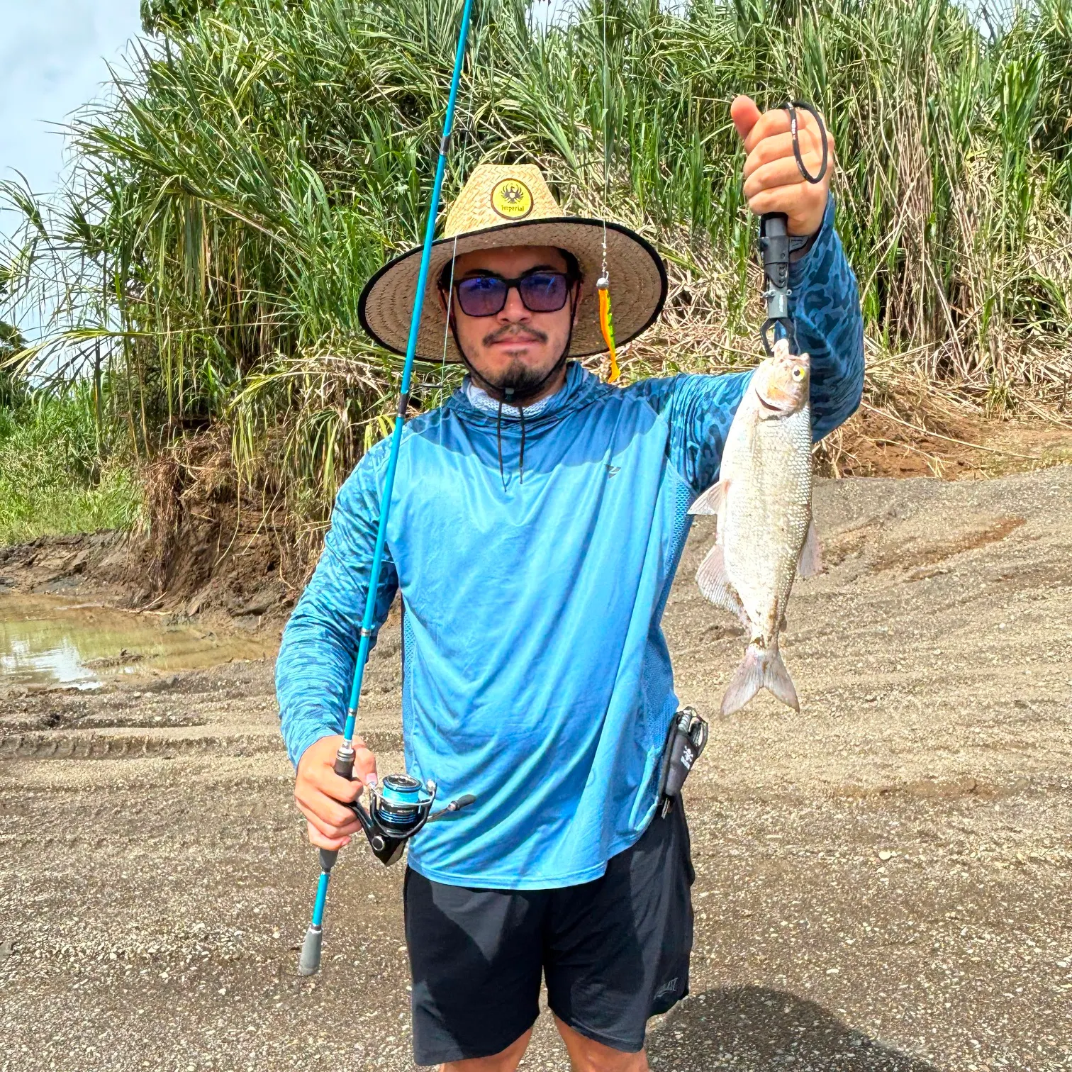 The most recent Machaca catches on Fishbrain
