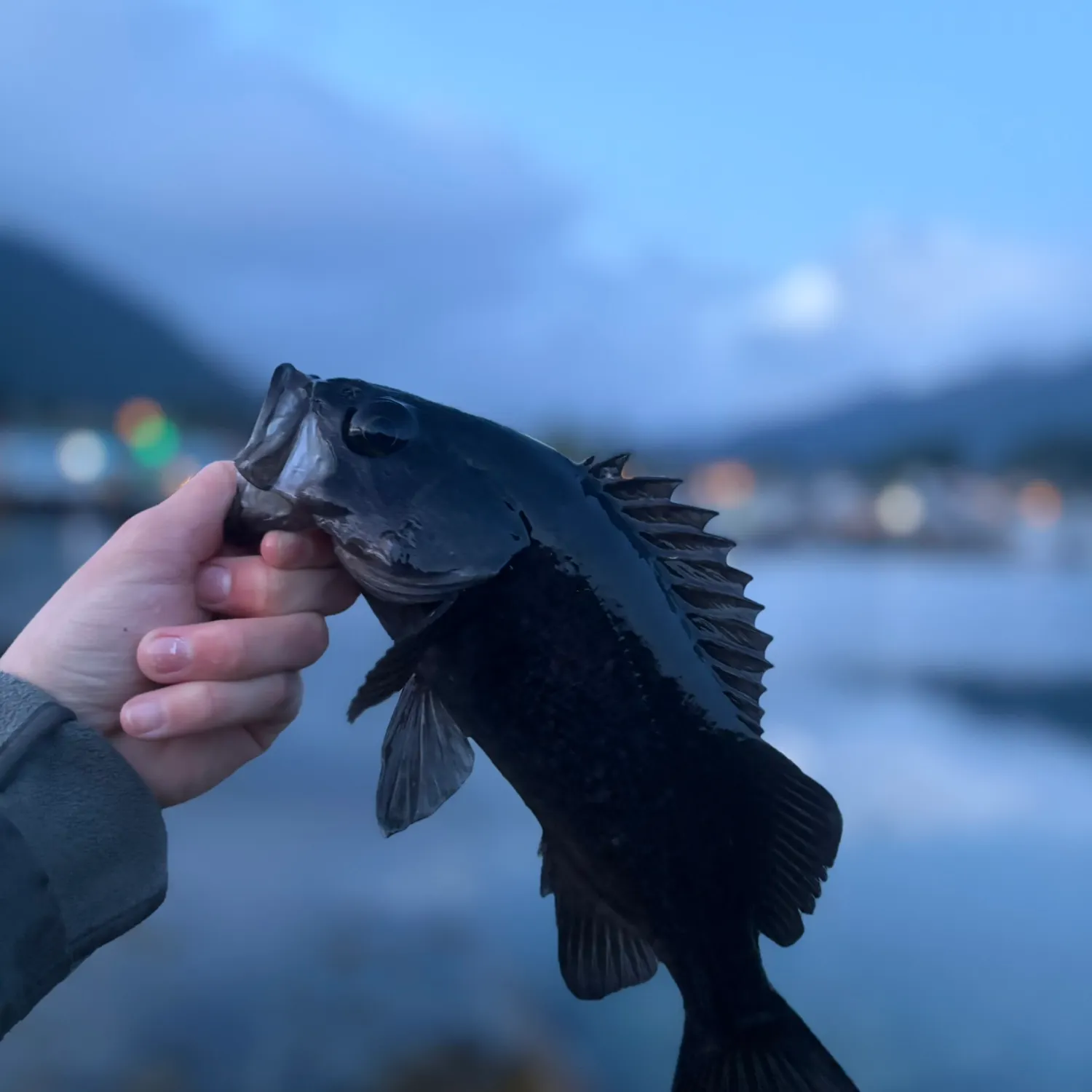 most liked catch image