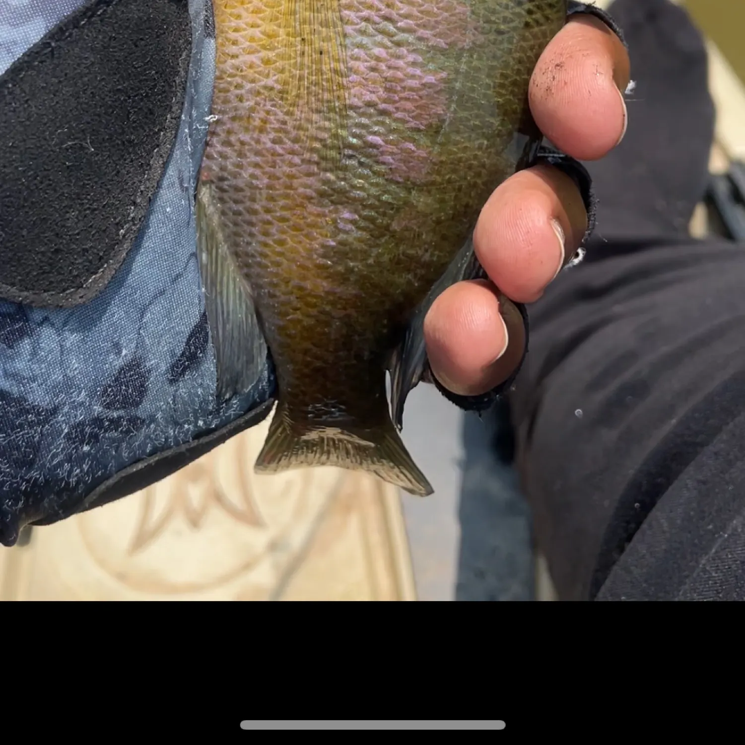 most liked catch image