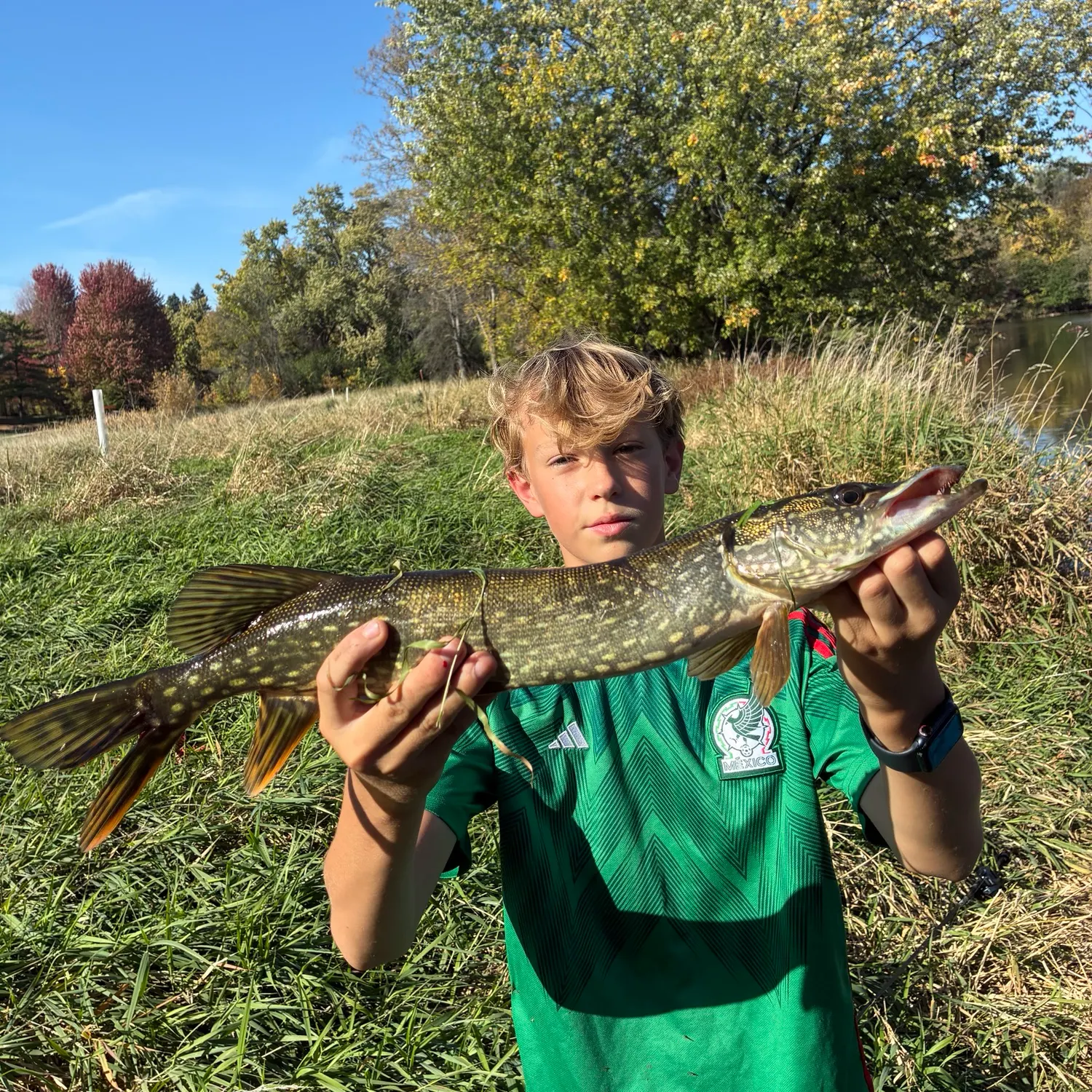 Northern pike caught on Fishbrain