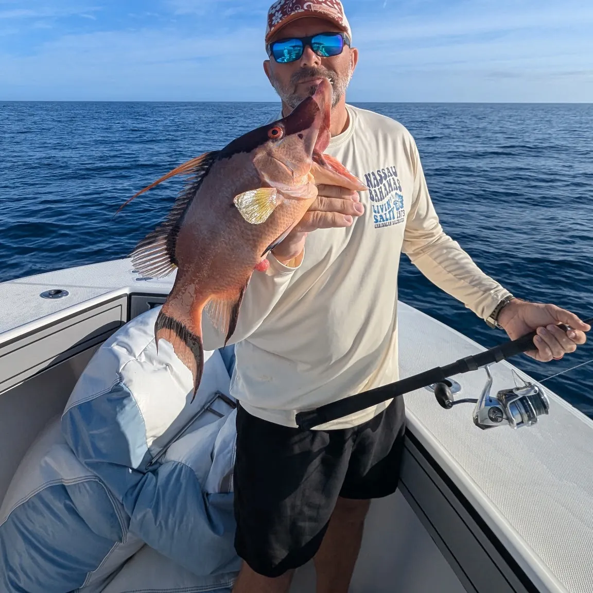 The most recent Hogfish catches on Fishbrain