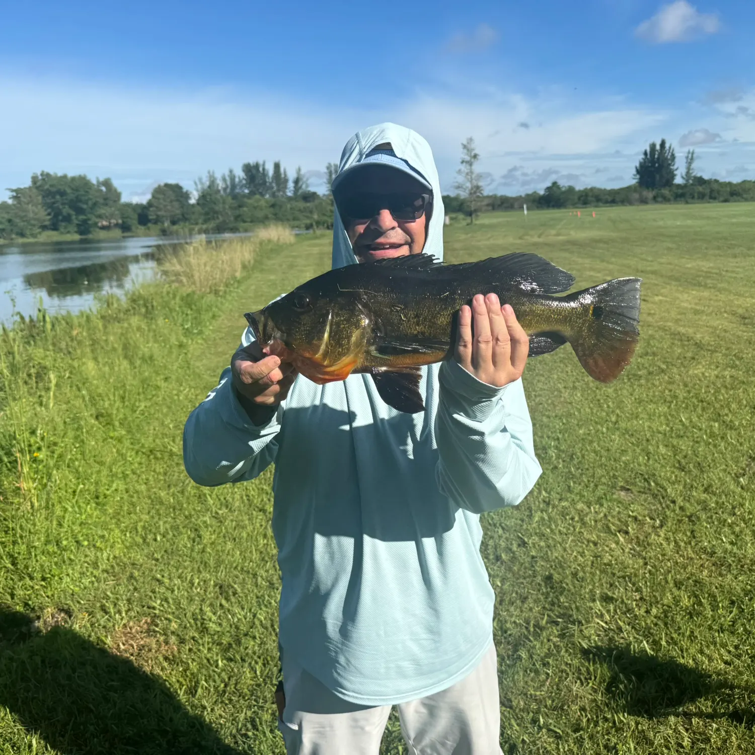 Butterfly peacock bass caught on Fishbrain