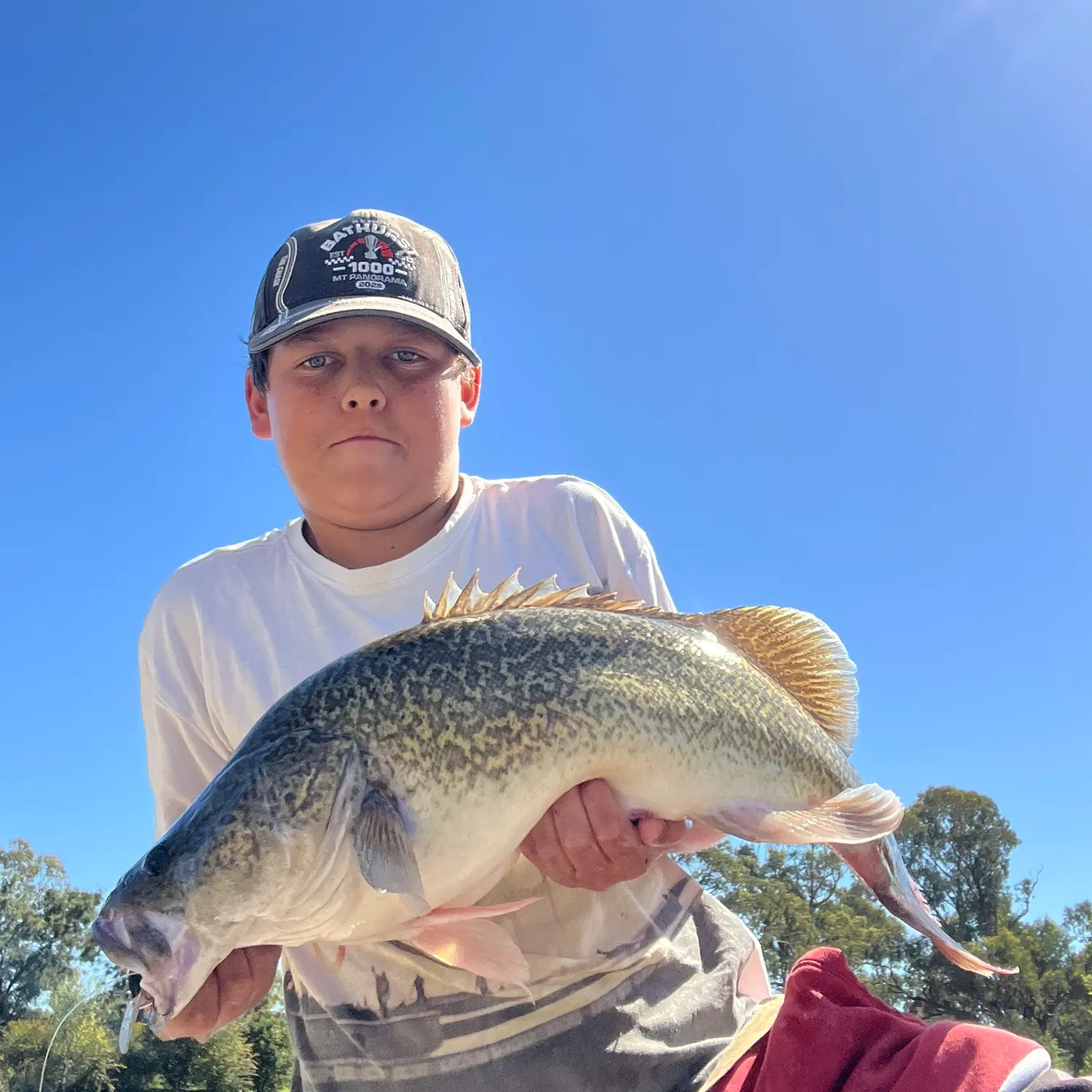 The most recent Murray cod catches on Fishbrain