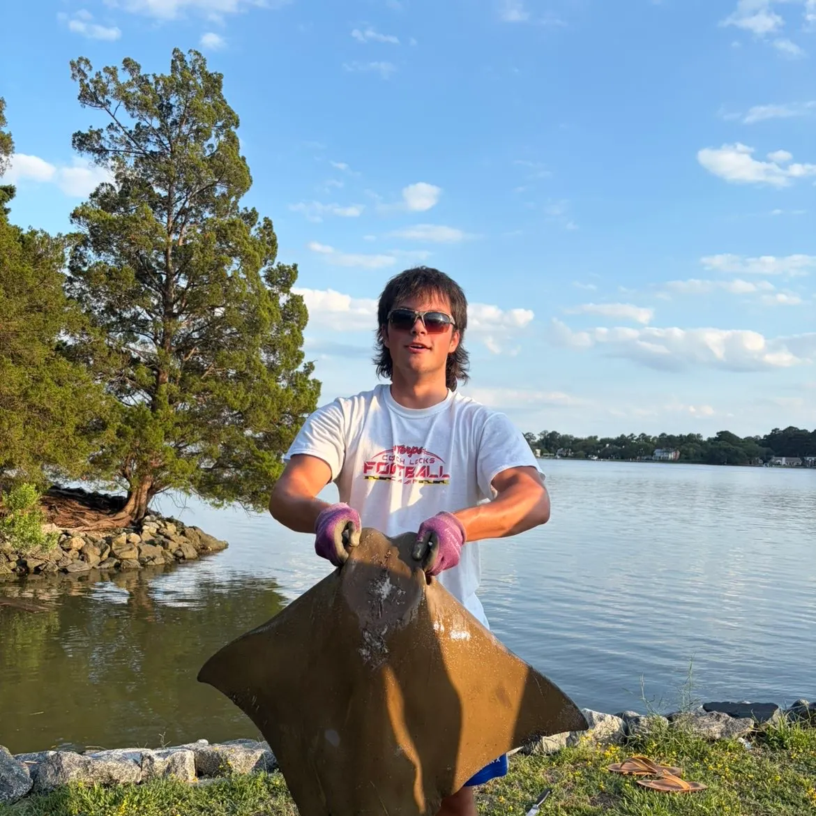 The most recent Blue skate catches on Fishbrain