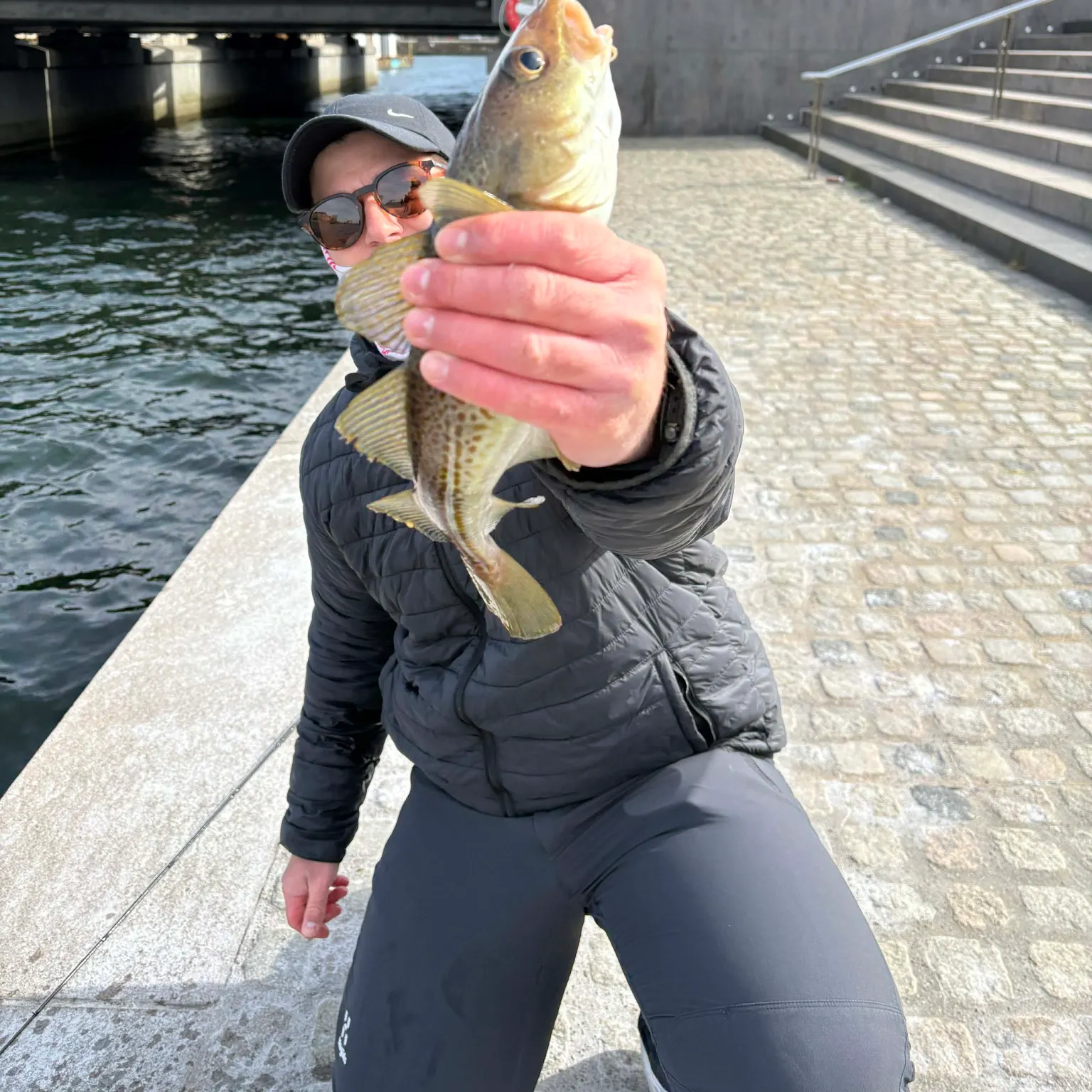 The most recent Atlantic cod catches on Fishbrain