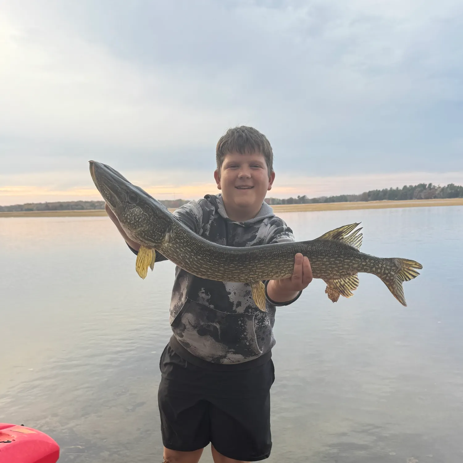 Northern pike caught on Fishbrain