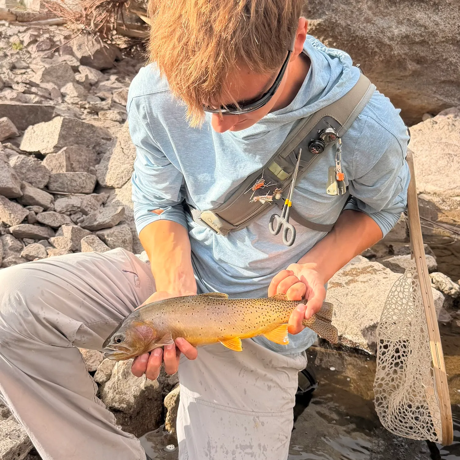 Yellowstone cutthroat trout caught on Fishbrain
