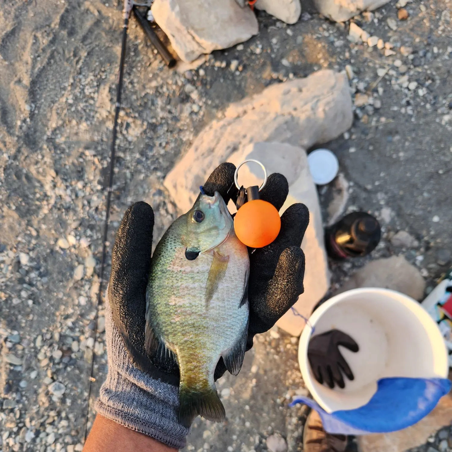catch