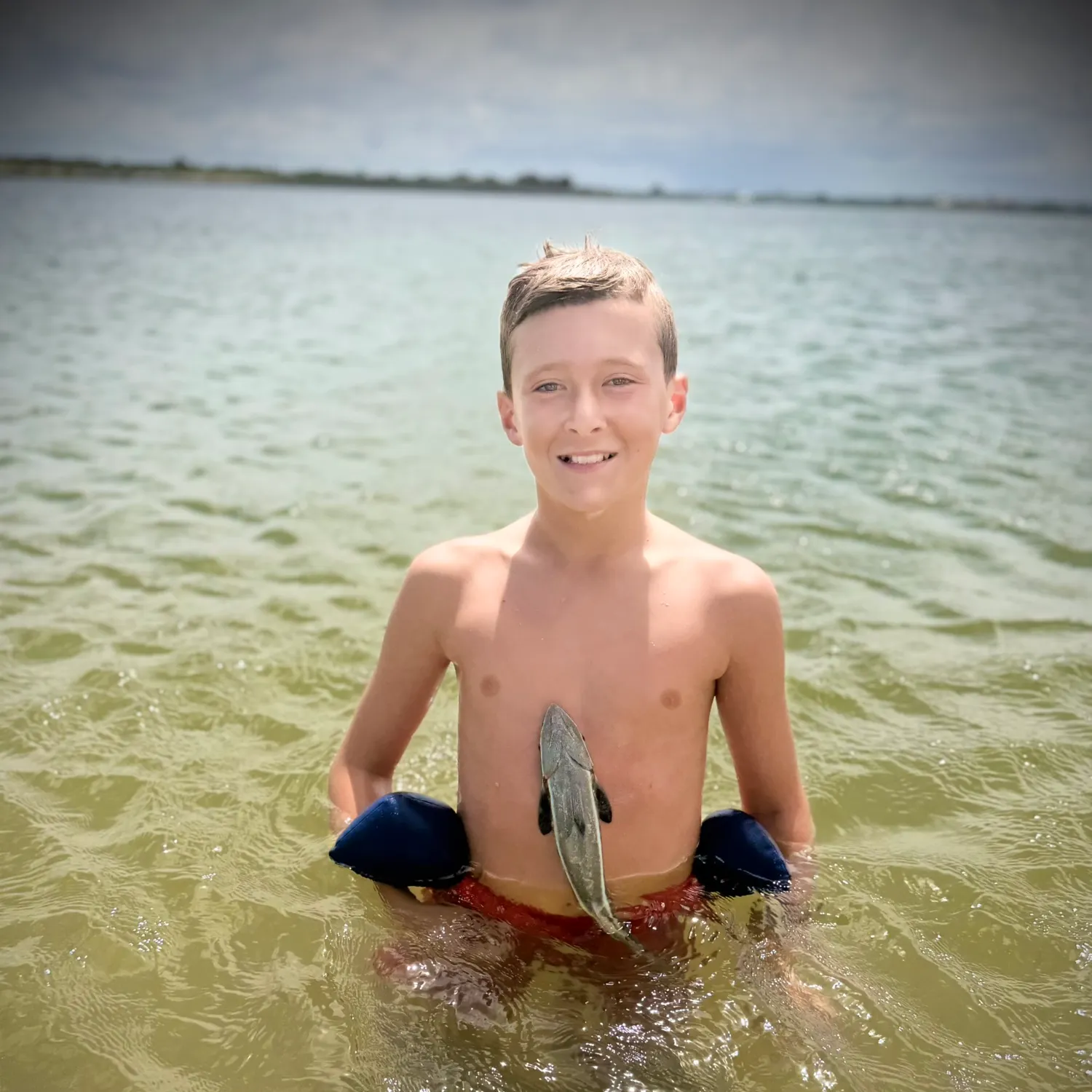 Common remora caught on Fishbrain