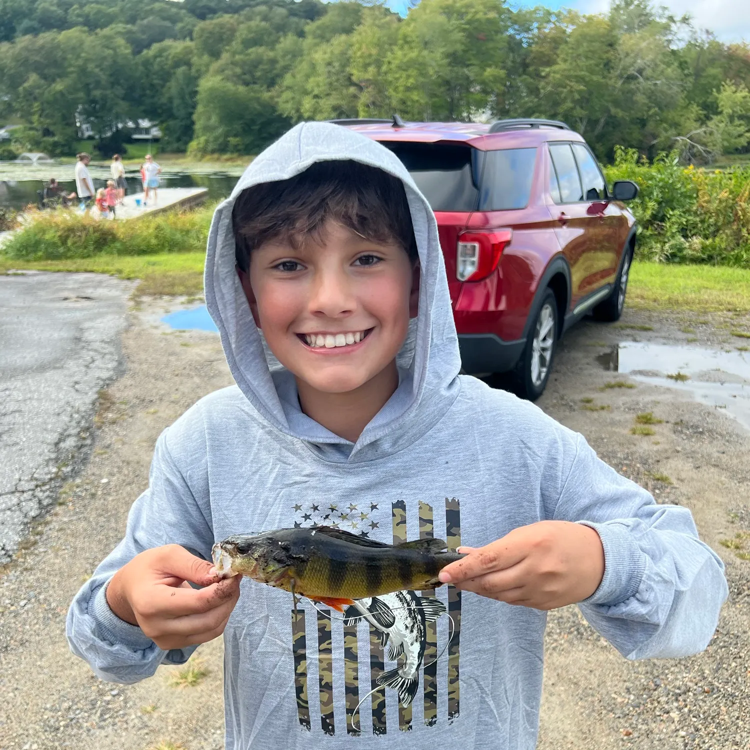 Yellow perch caught on Fishbrain