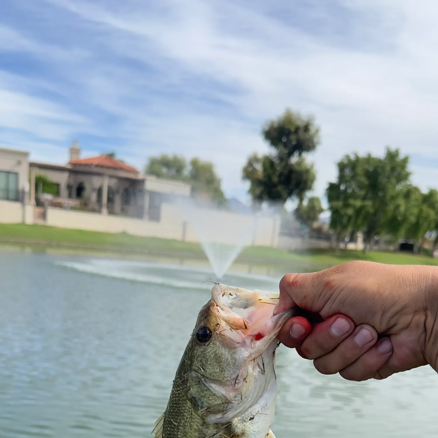 catch