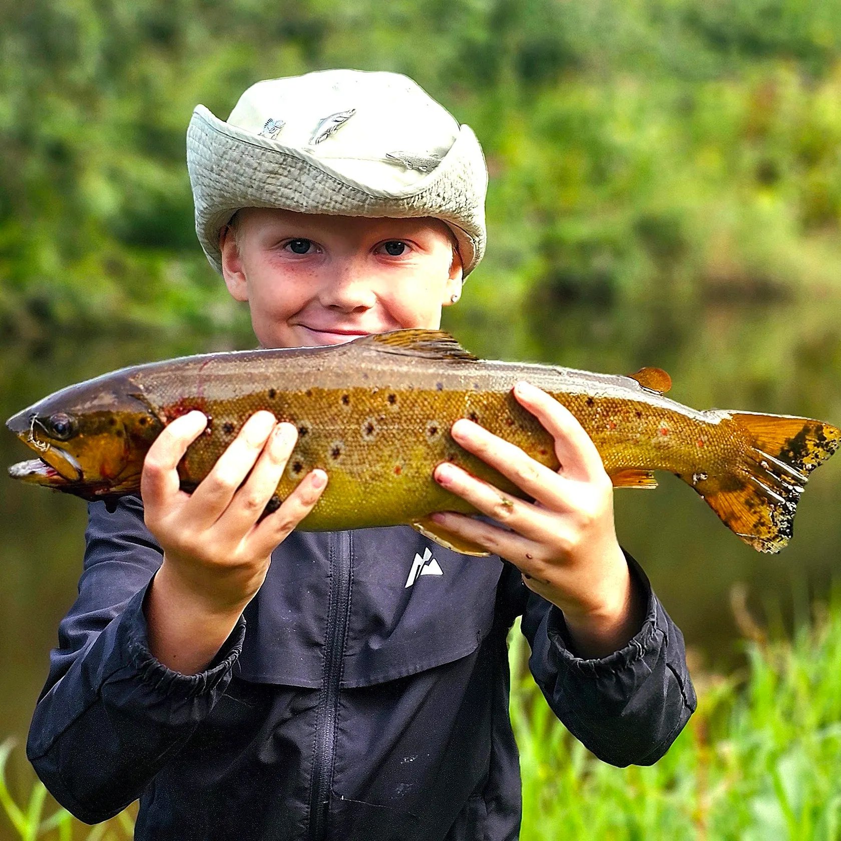 Brown trout caught on Fishbrain