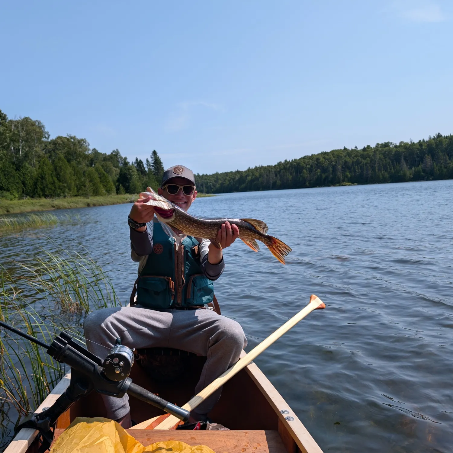 Northern pike caught on Fishbrain