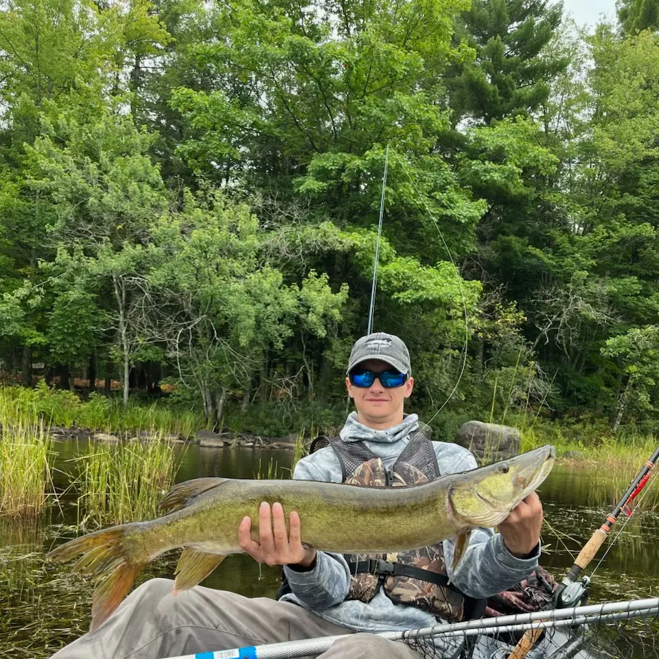 Muskie caught on Fishbrain
