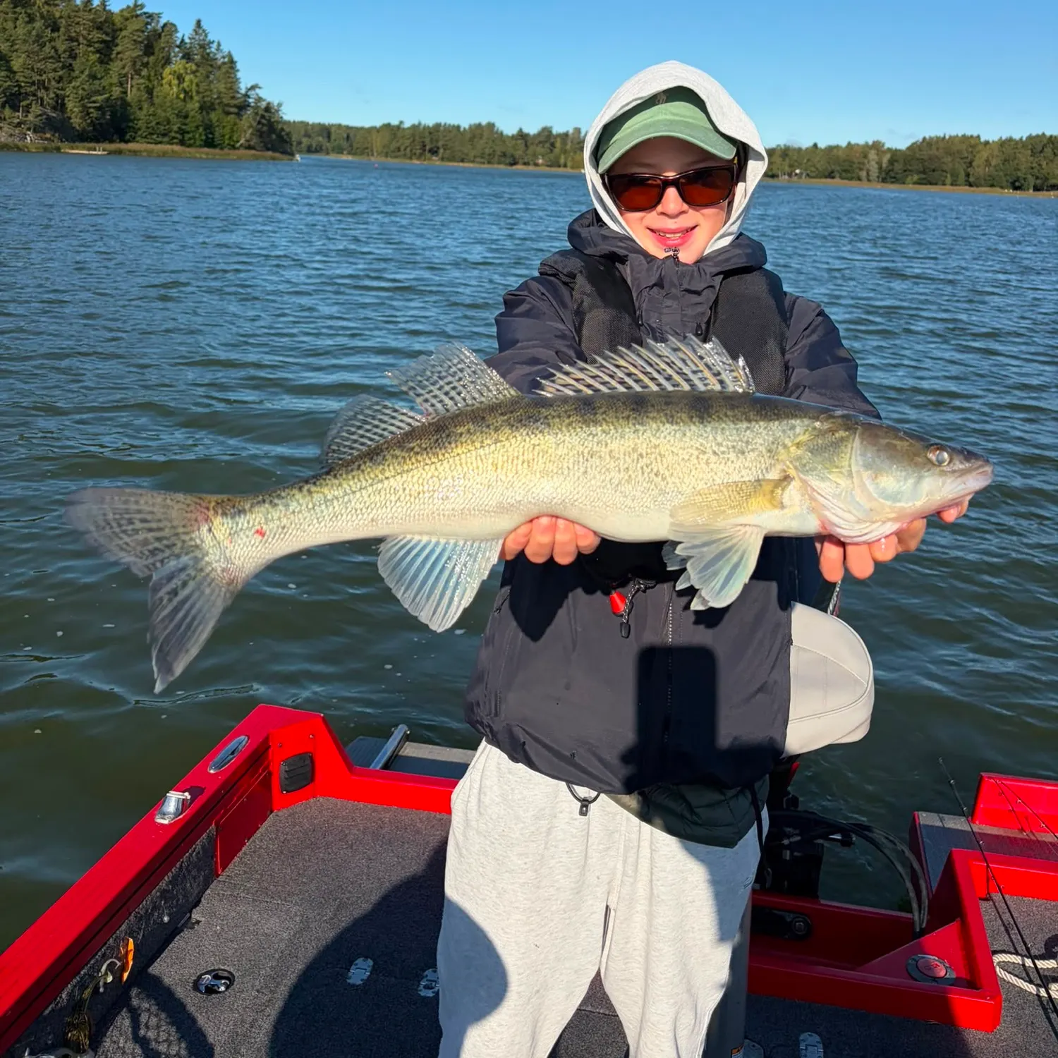 Zander caught on Fishbrain