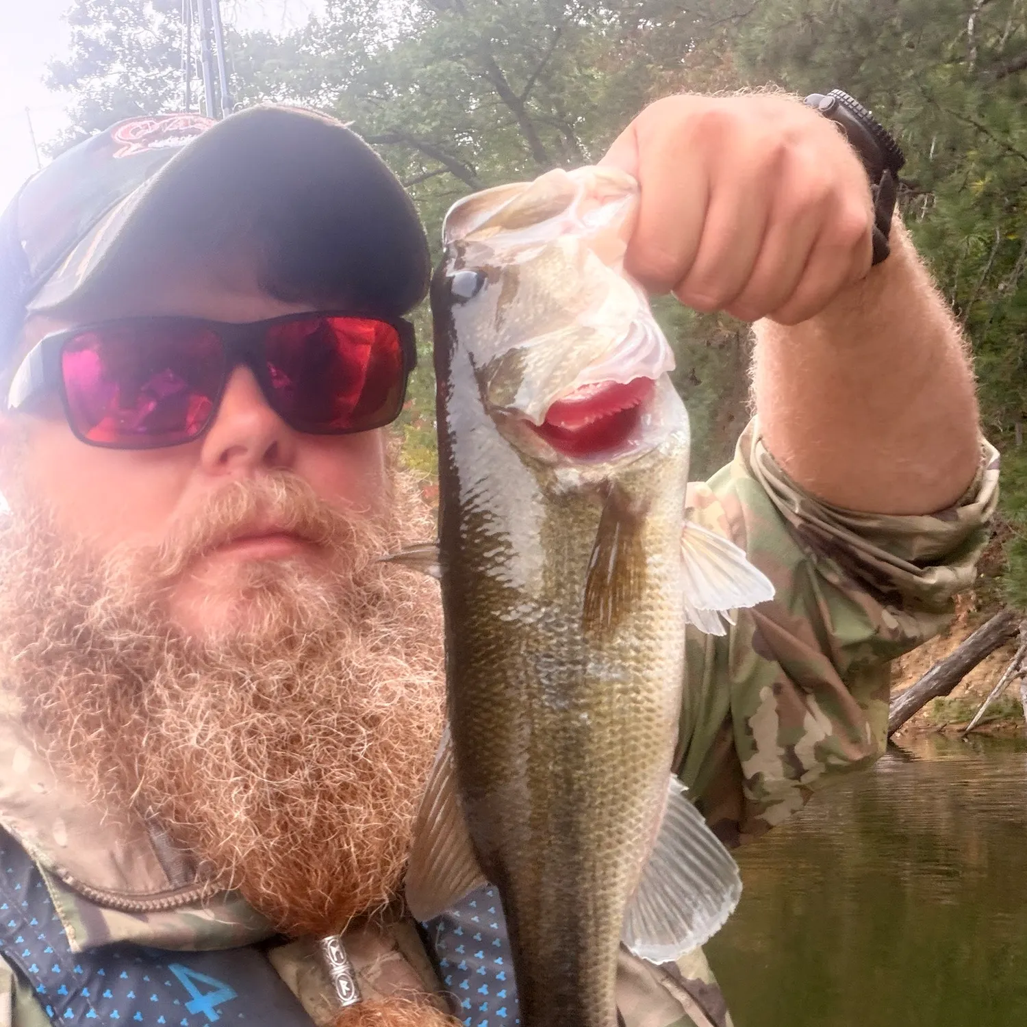 Largemouth bass caught on Fishbrain