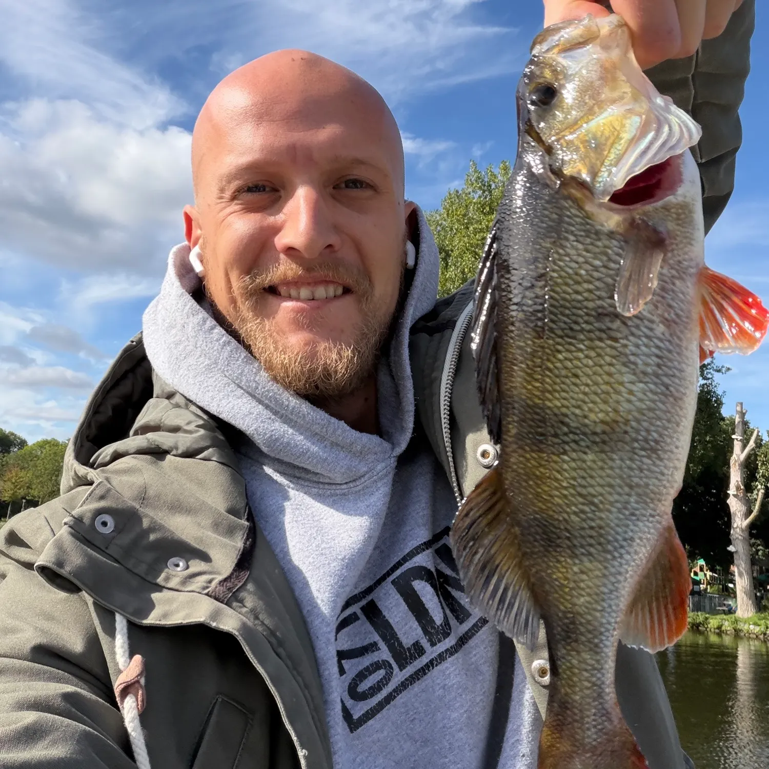 European perch caught on Fishbrain