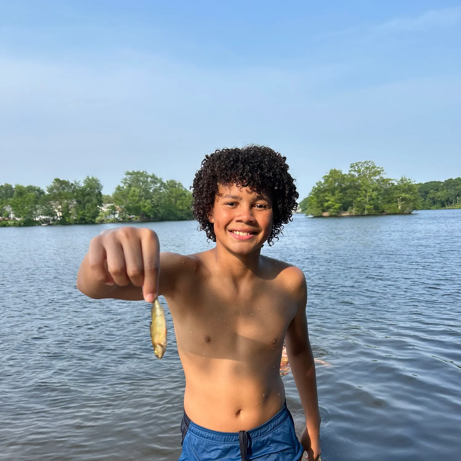 The most popular recent Barred minnow catch on Fishbrain