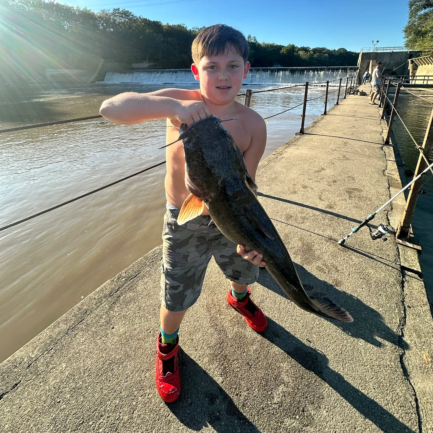Flathead catfish caught on Fishbrain