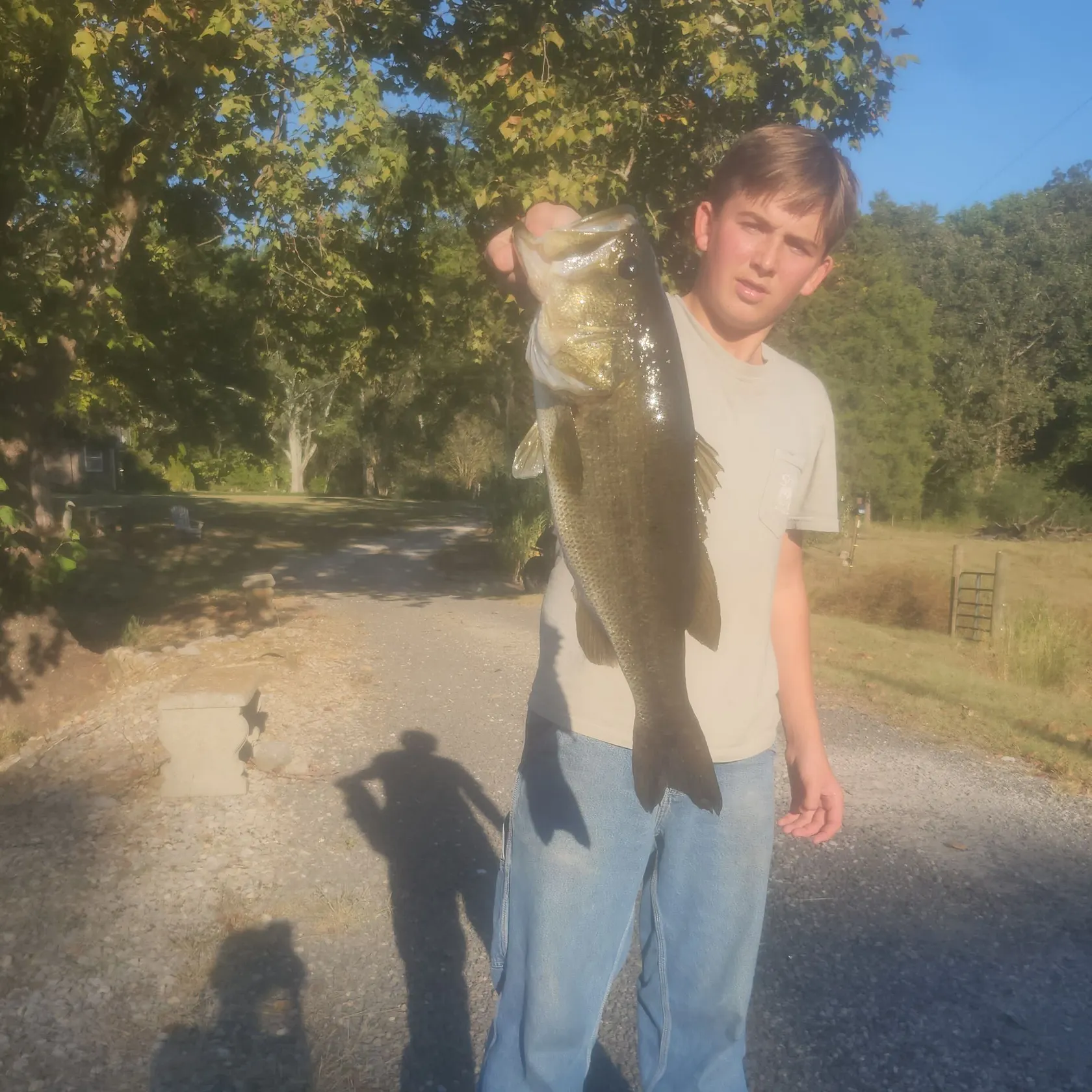 Largemouth bass caught on Fishbrain