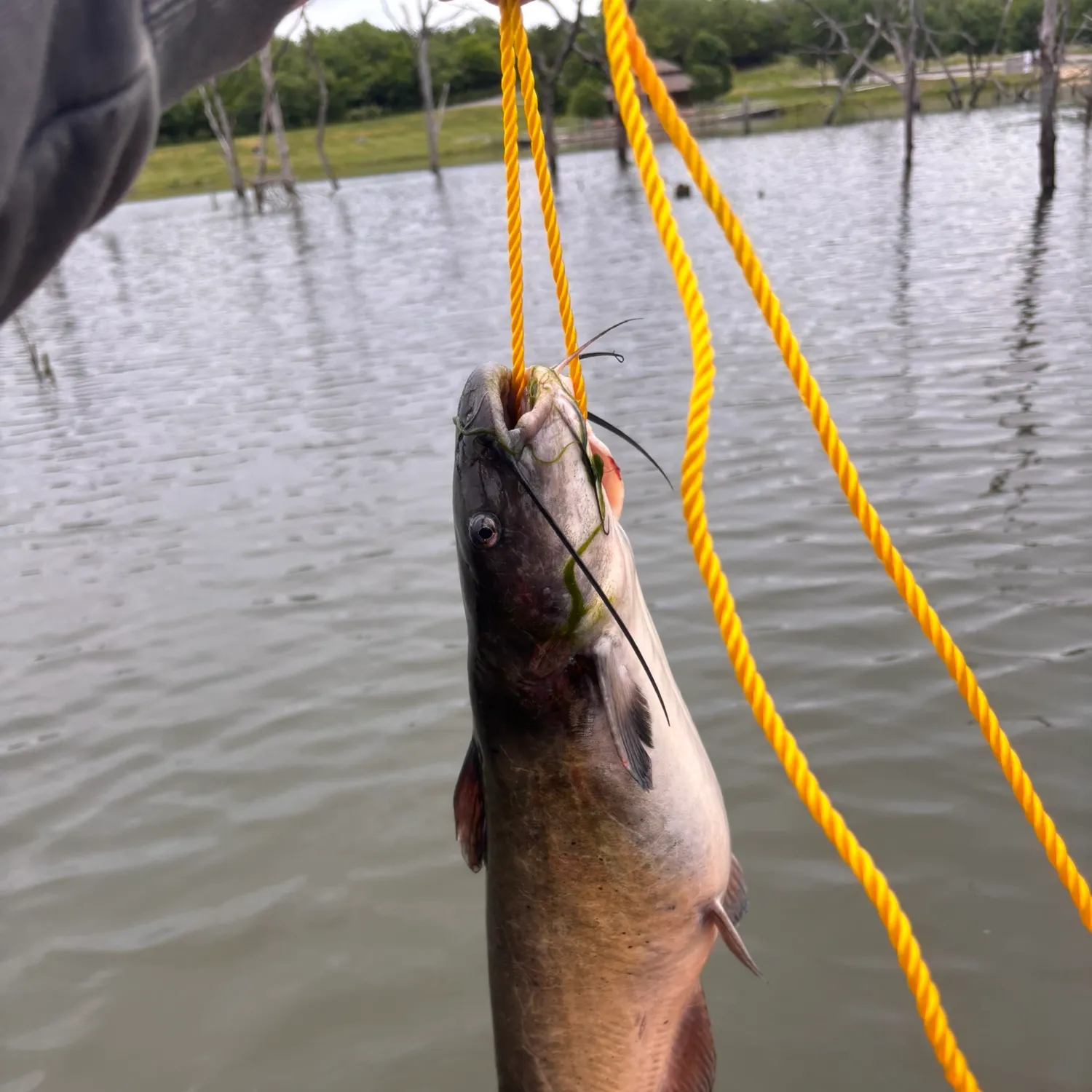 catch