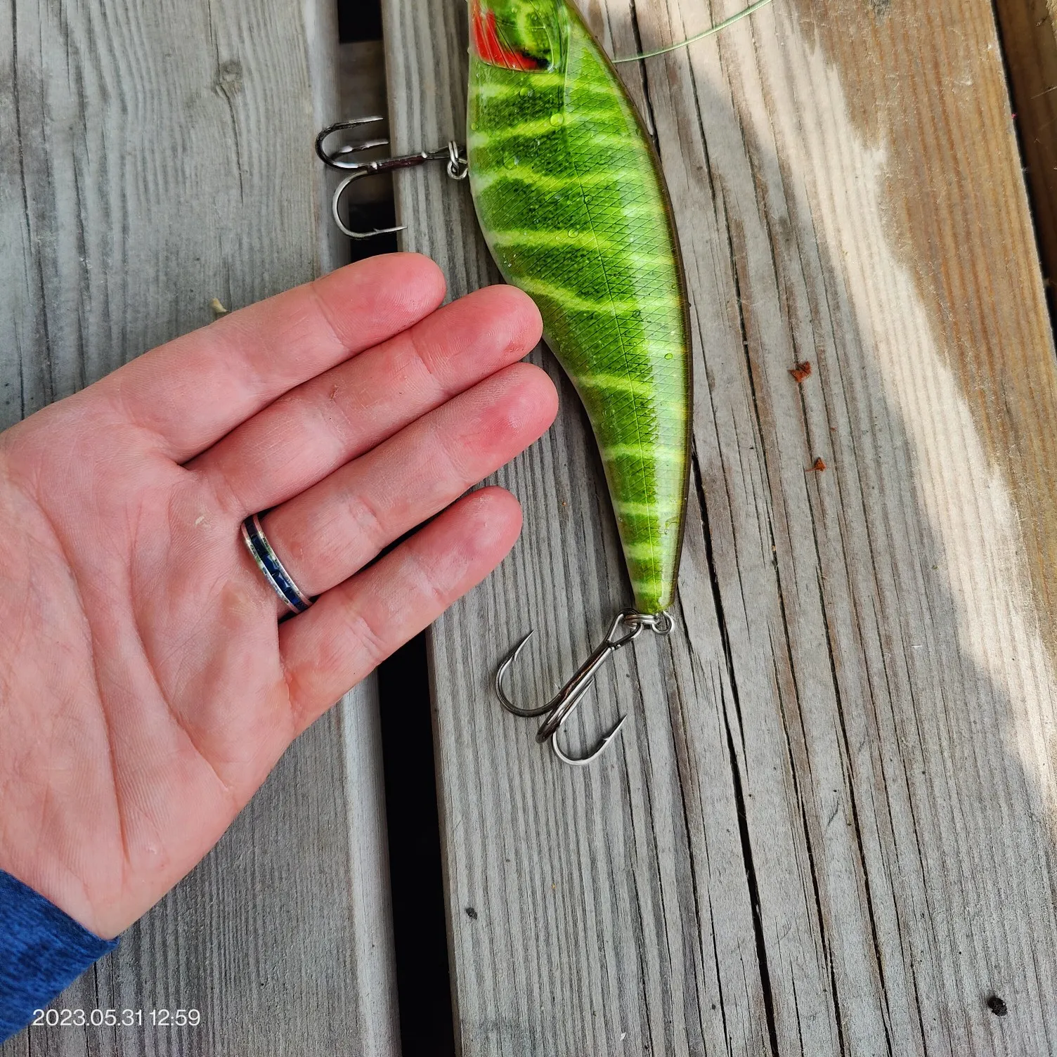 recently logged catches