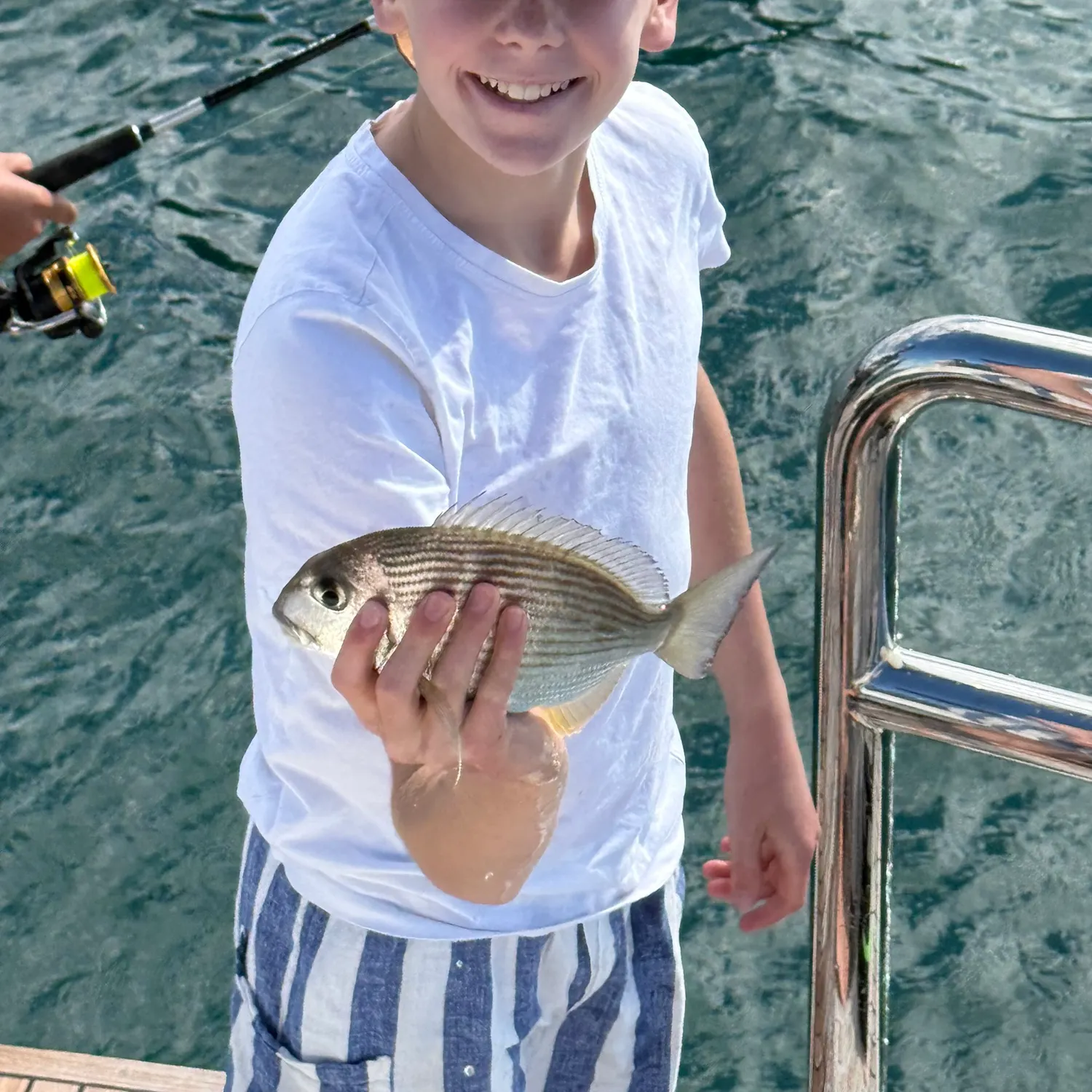 The most recent Goldlined seabream catches on Fishbrain