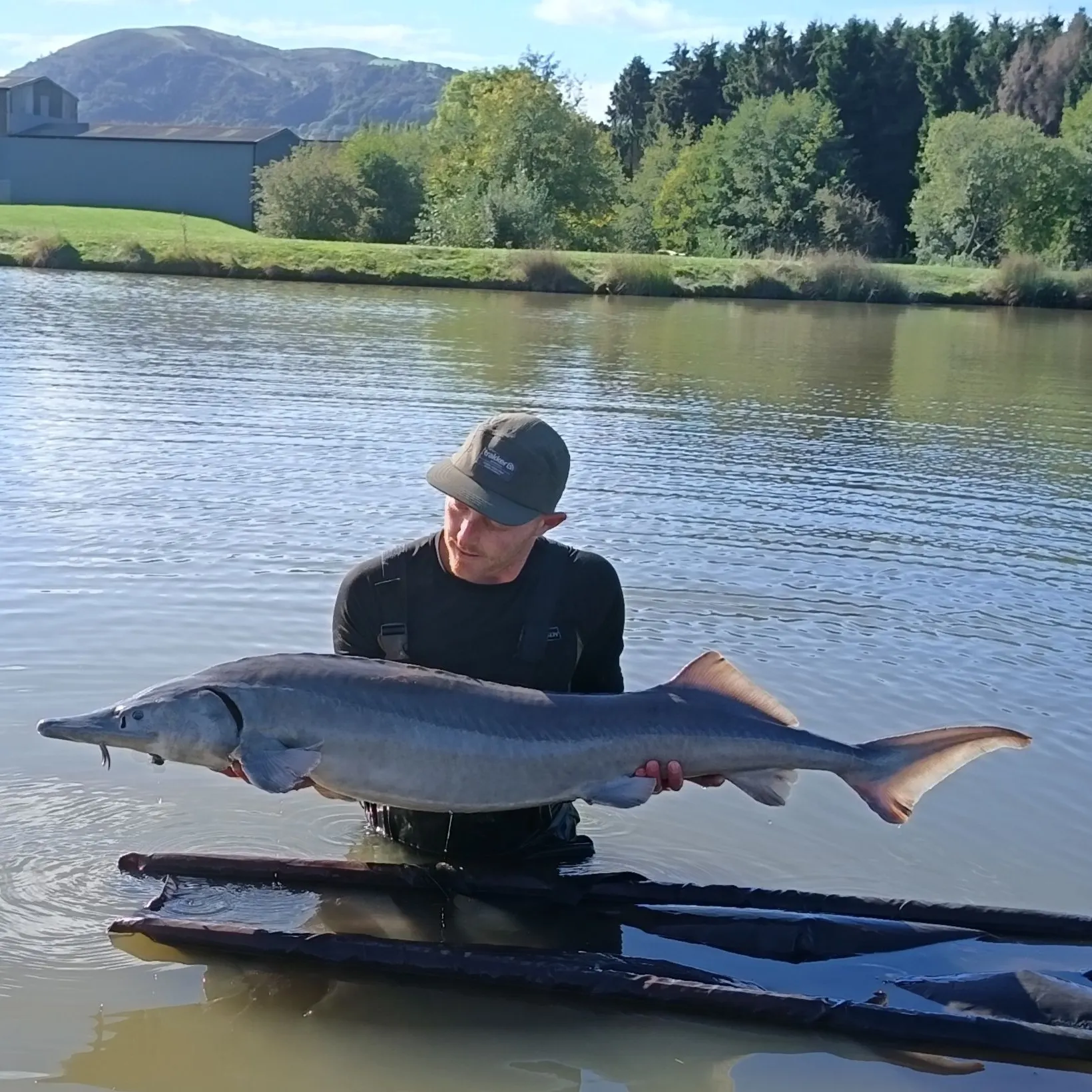 The most popular recent Siberian sturgeon catch on Fishbrain