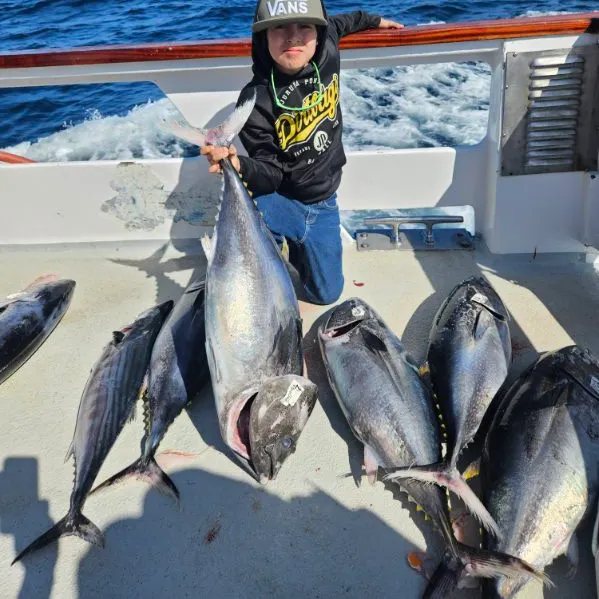 The most recent Pacific bluefin tuna catches on Fishbrain