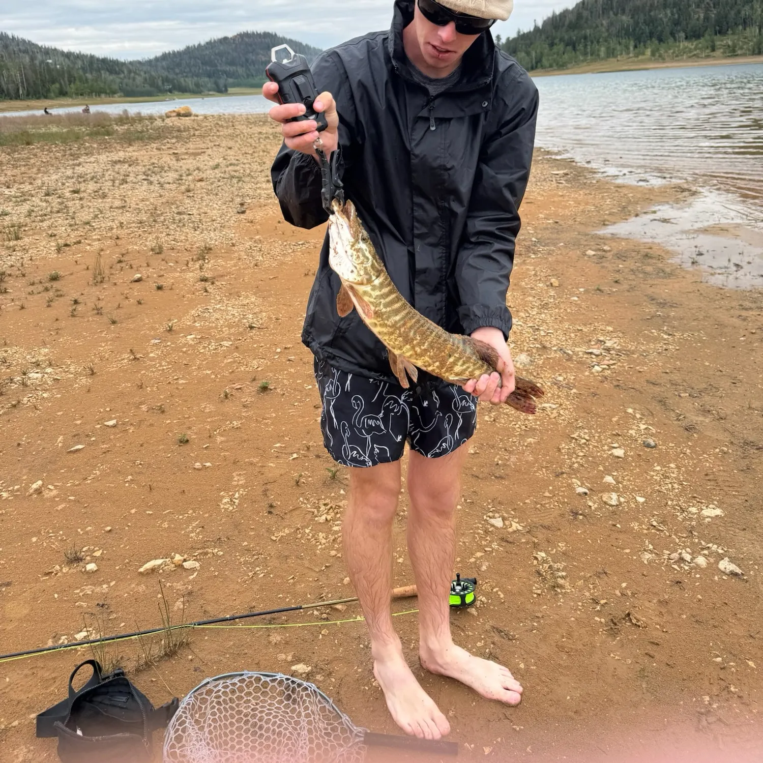 The most recent Tiger muskellunge catches on Fishbrain