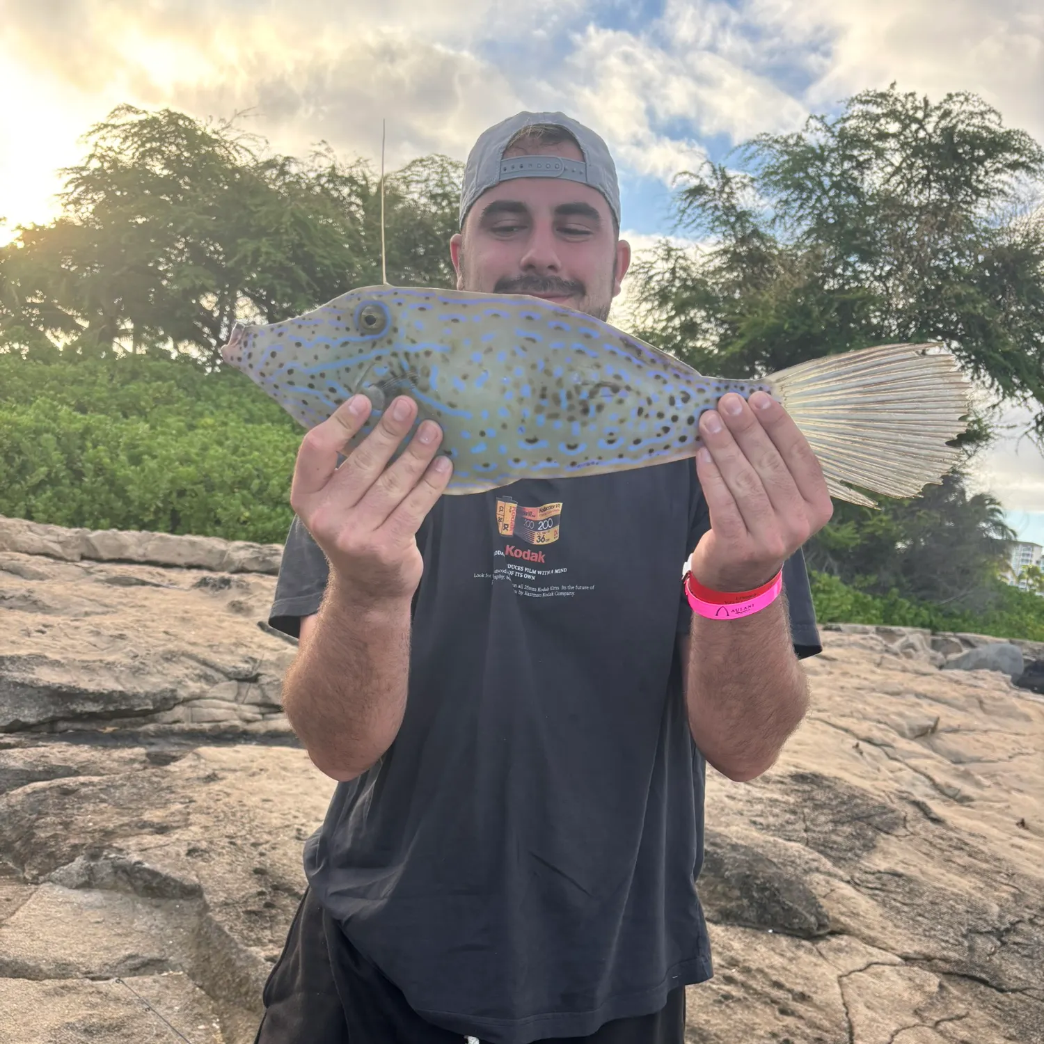 most liked catch image
