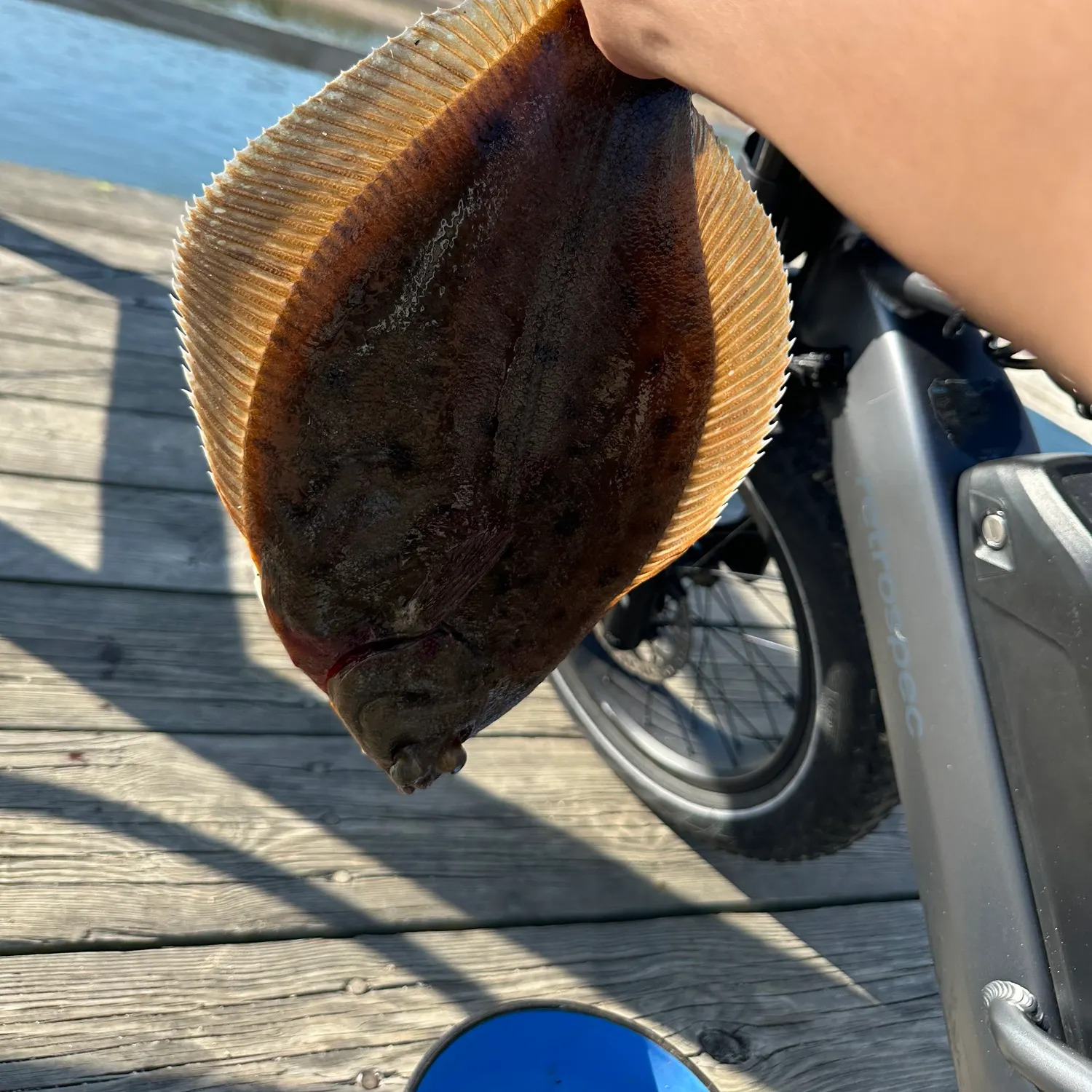 most liked catch image