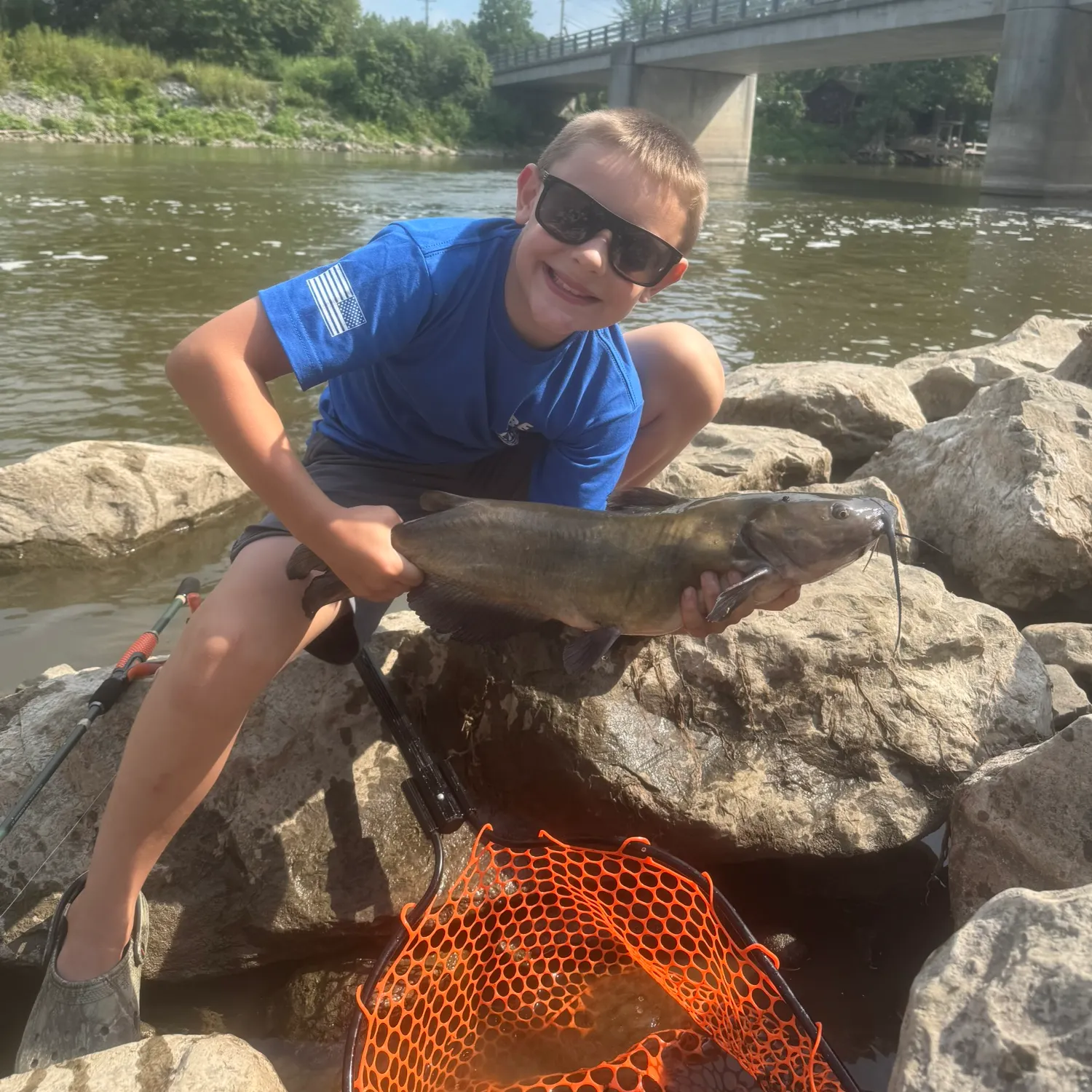 Channel catfish caught on Fishbrain