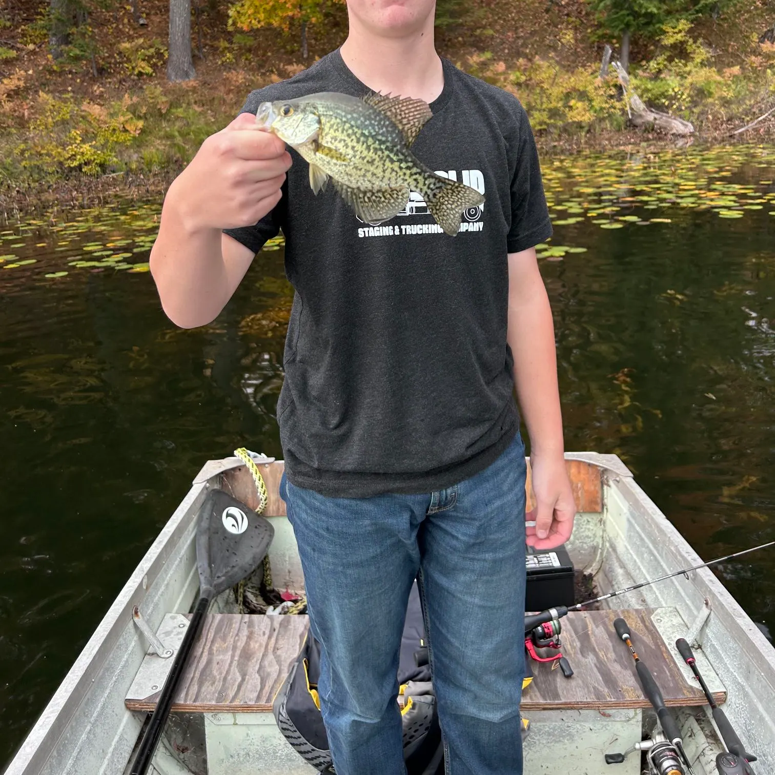 Black crappie caught on Fishbrain