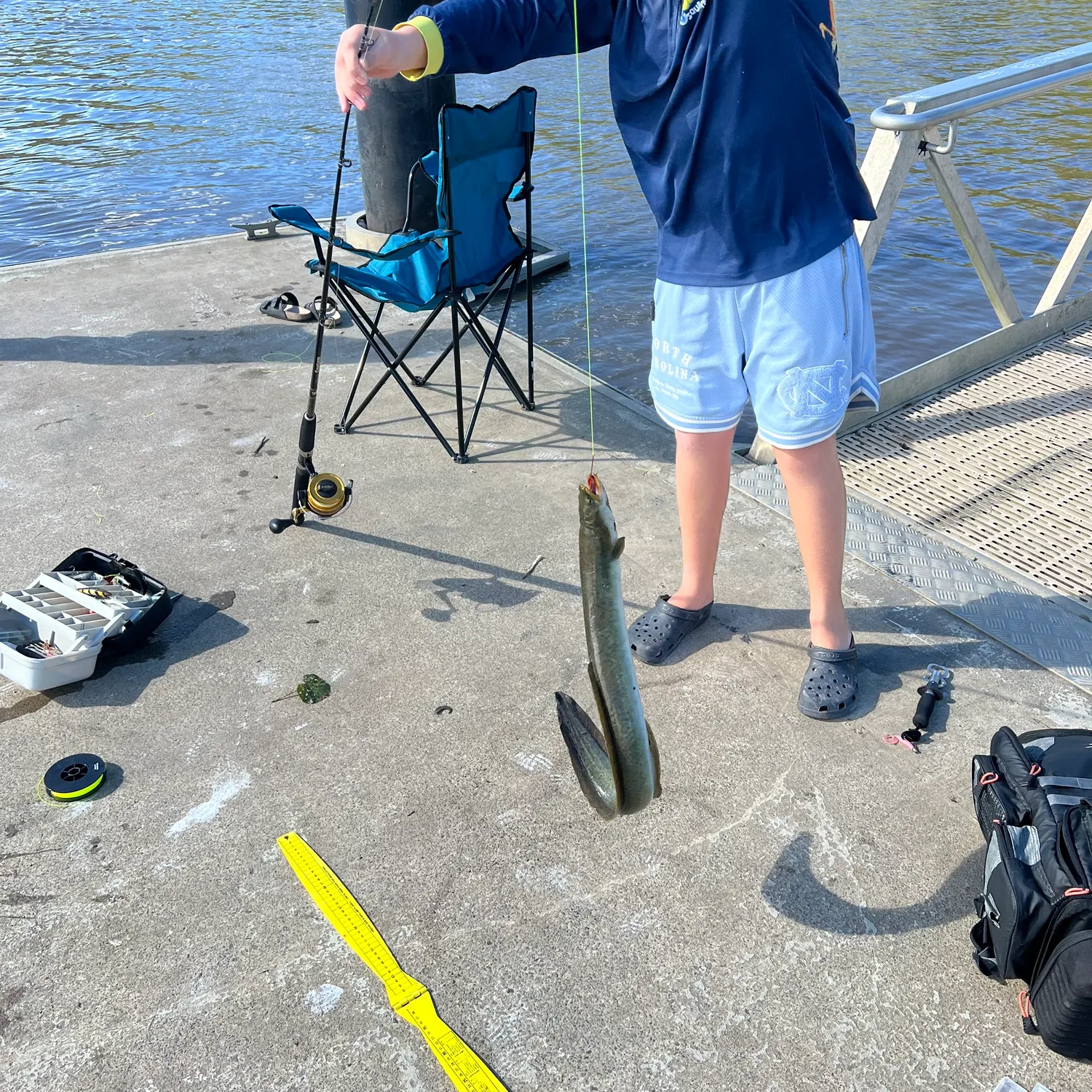 The most recent Speckled longfin eel catches on Fishbrain