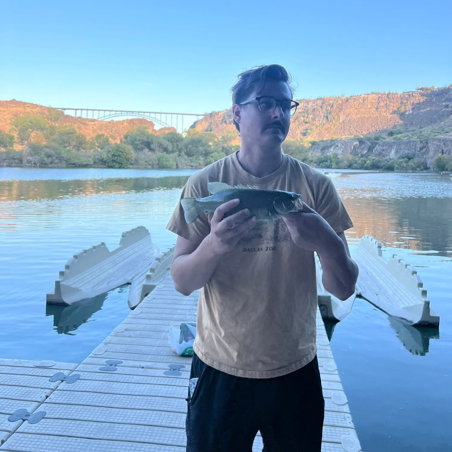 Smallmouth bass caught on Fishbrain