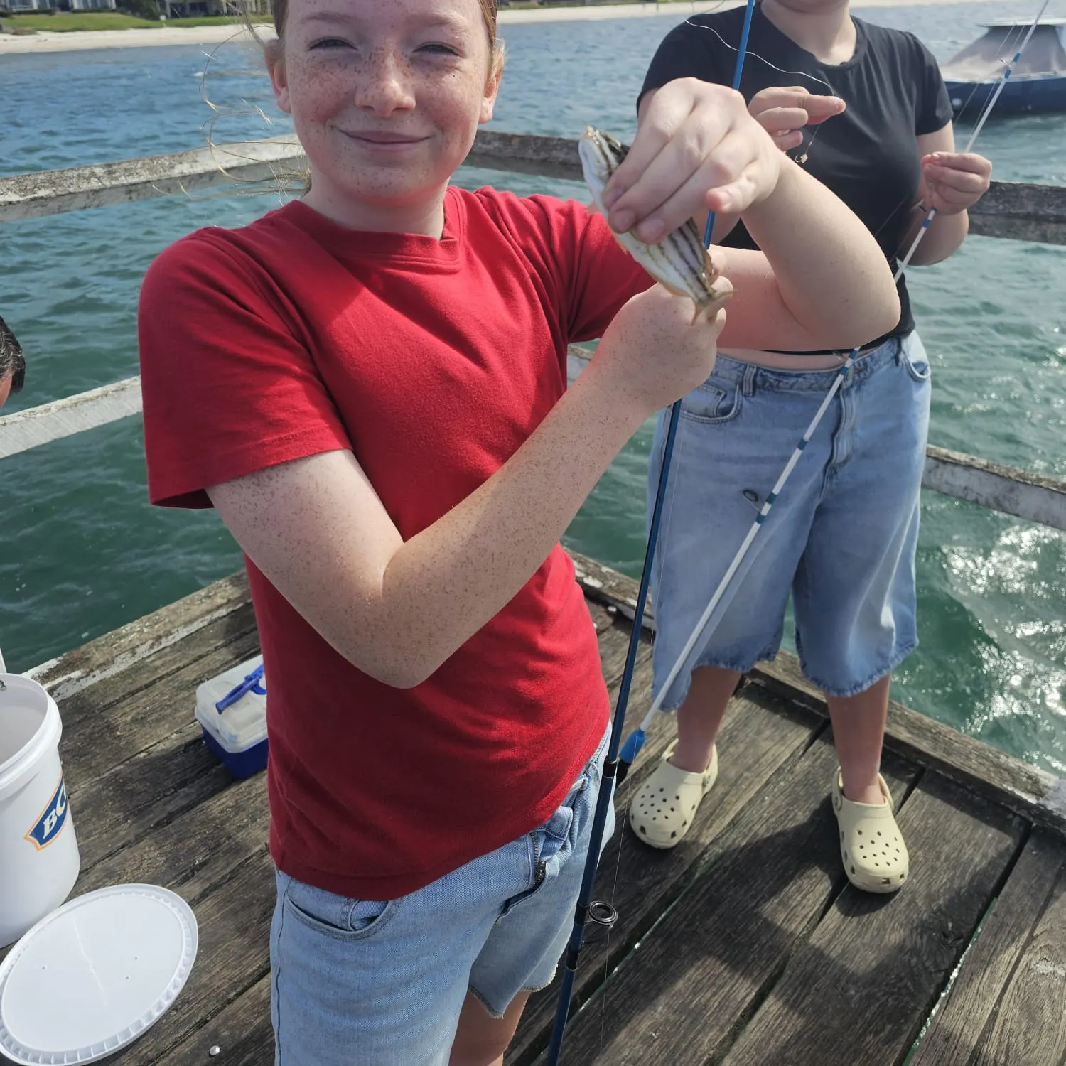 The most recent Eastern striped grunter catches on Fishbrain