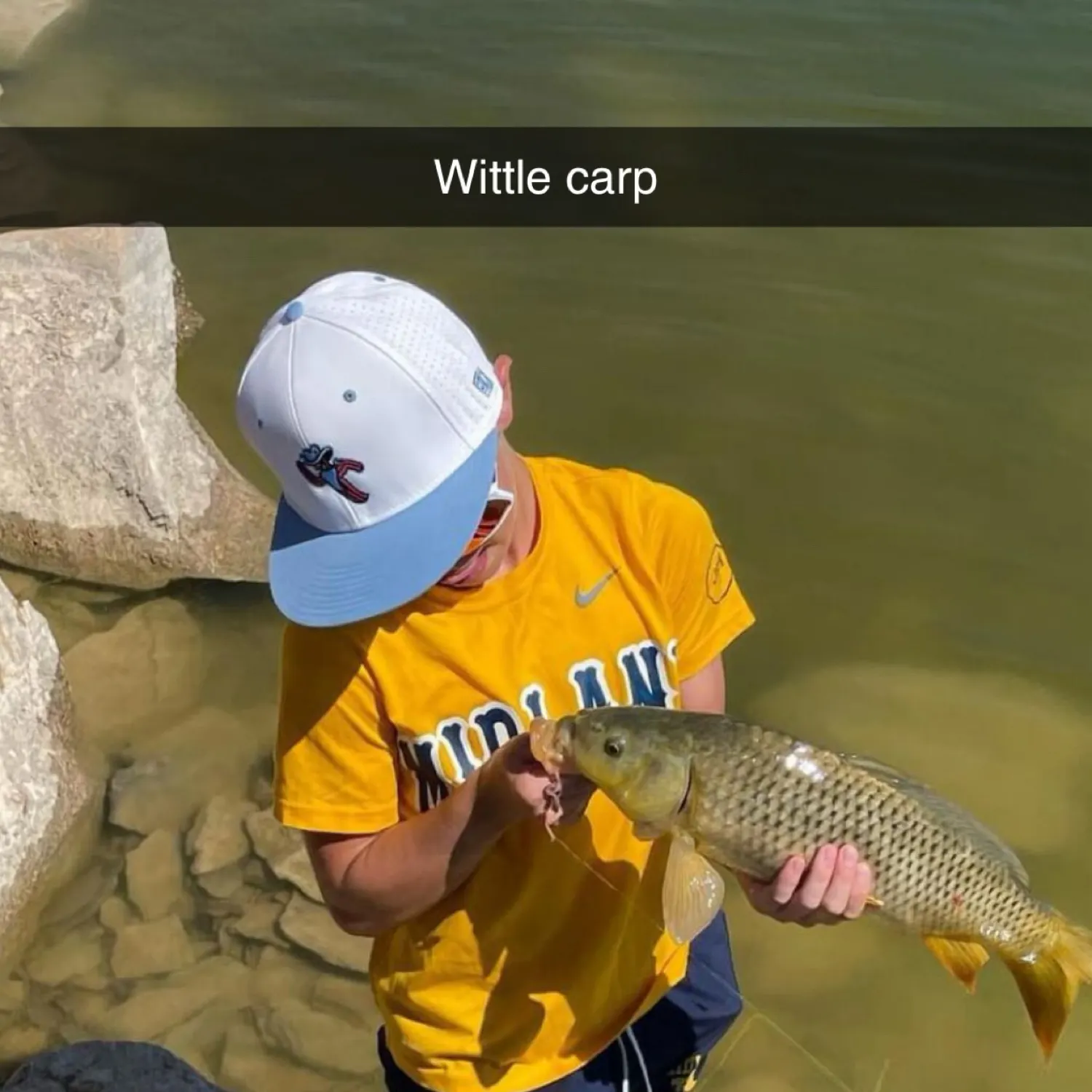 The most recent Common carp catches on Fishbrain