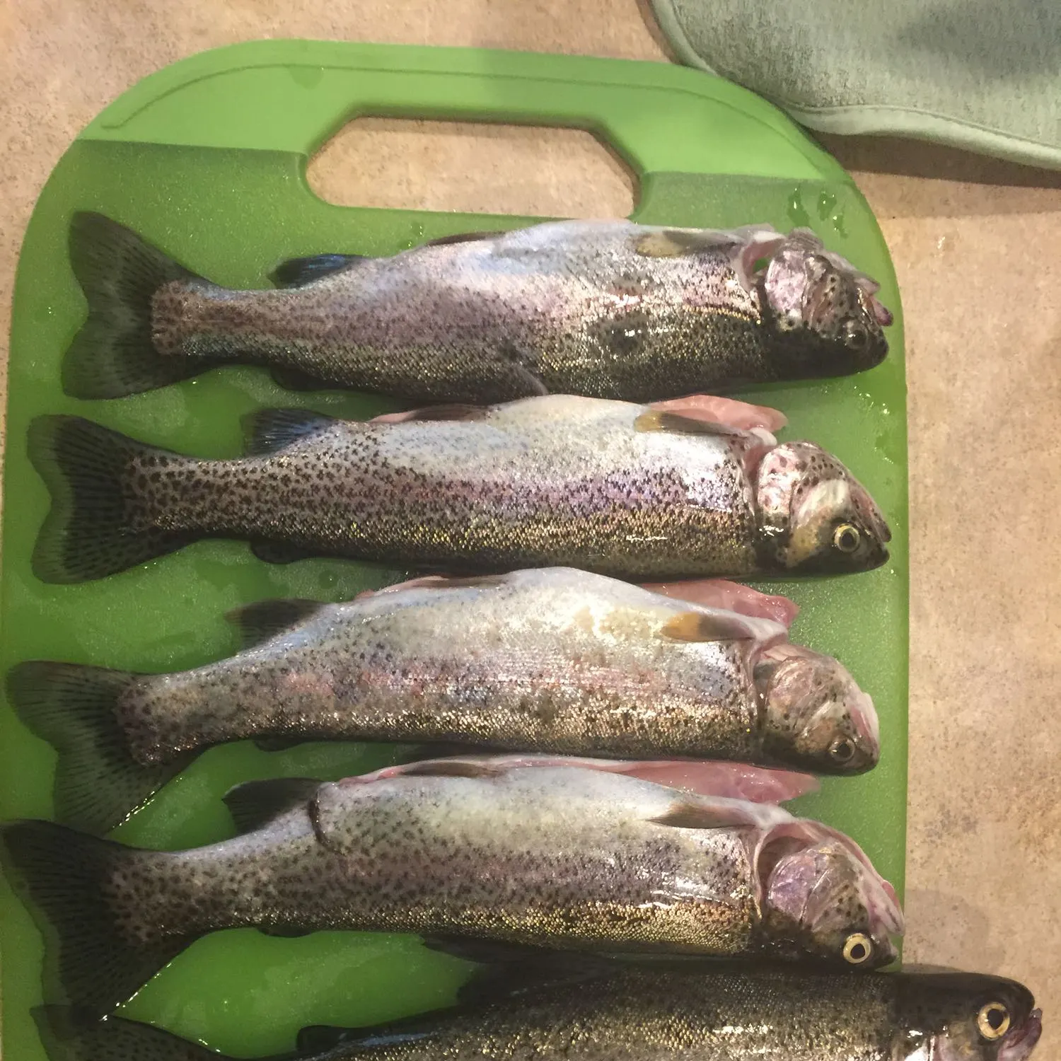 recently logged catches