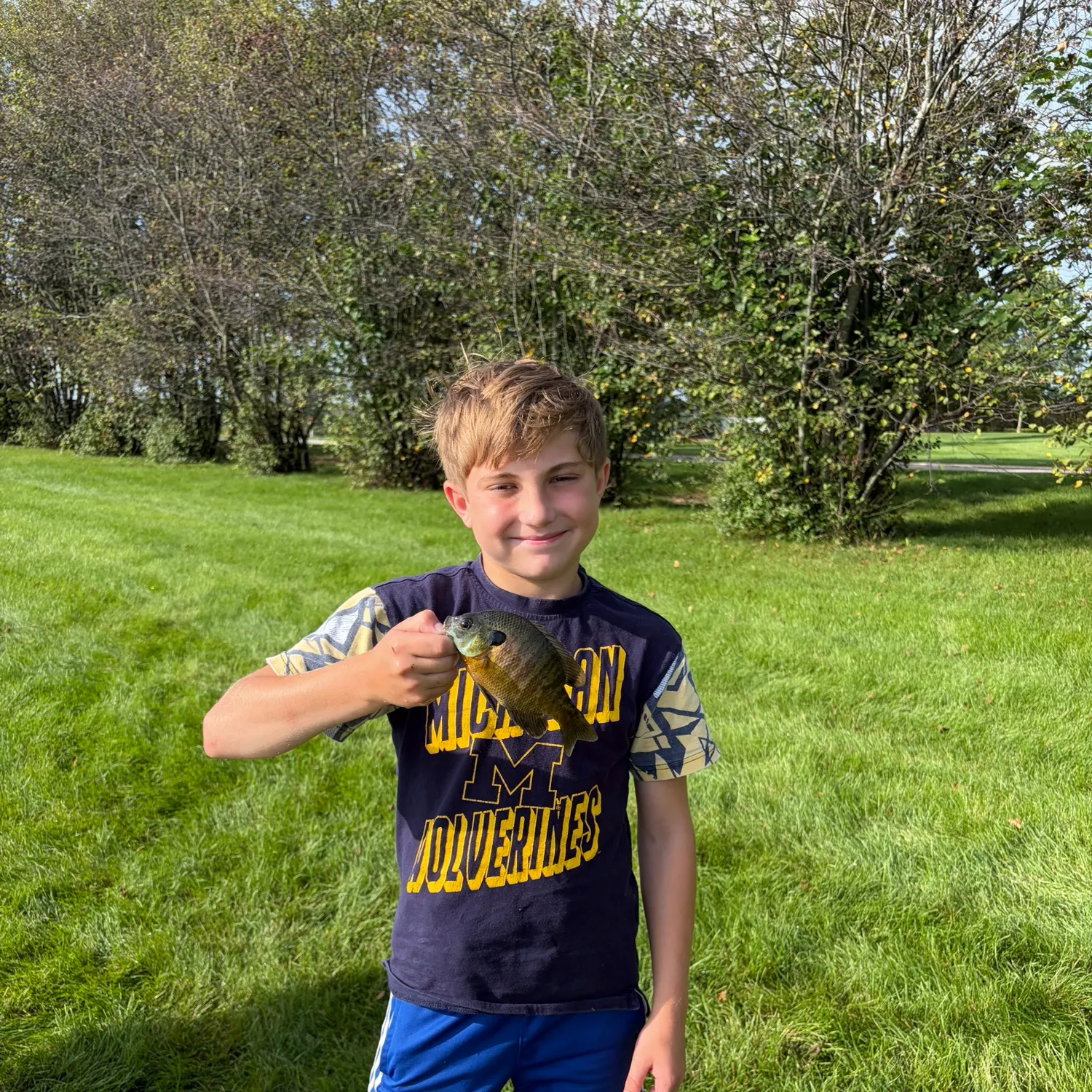 Bluegill caught on Fishbrain