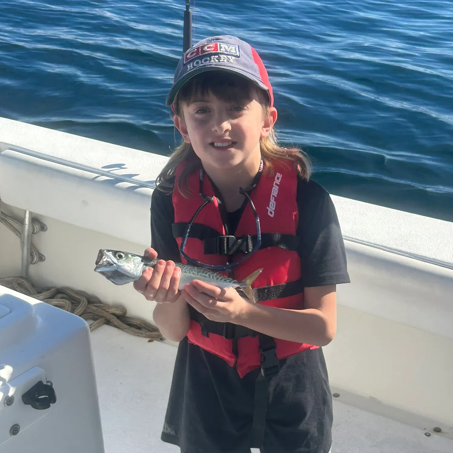 The most recent Pacific chub mackerel catches on Fishbrain