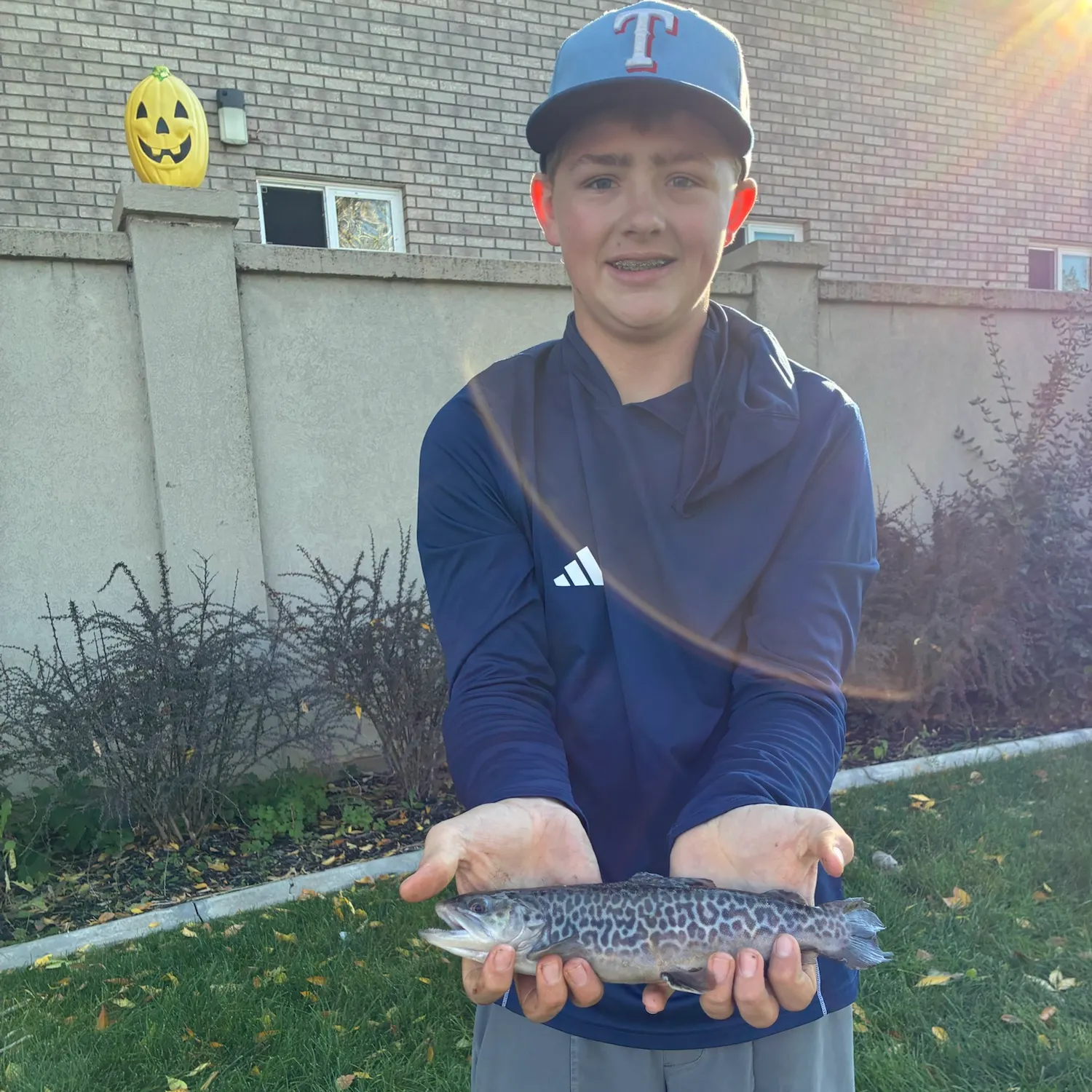 Tiger trout caught on Fishbrain