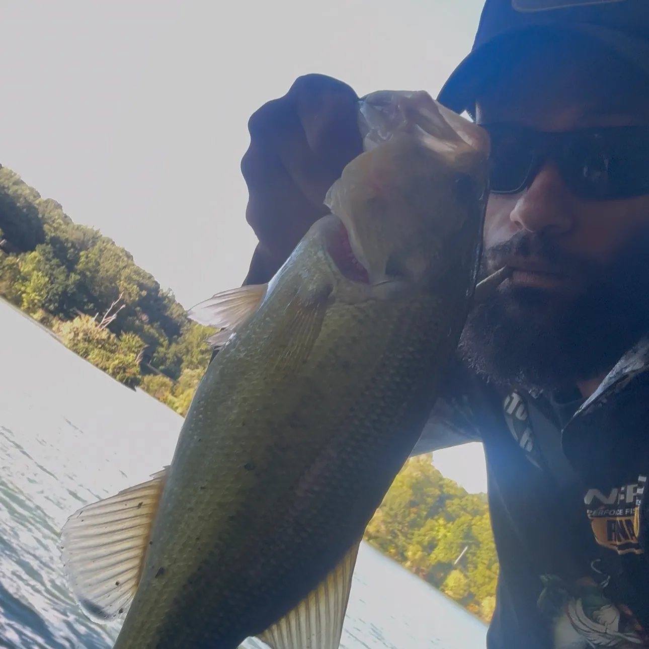 Largemouth bass caught on Fishbrain