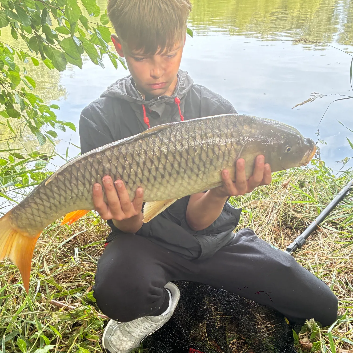 Common carp caught on Fishbrain