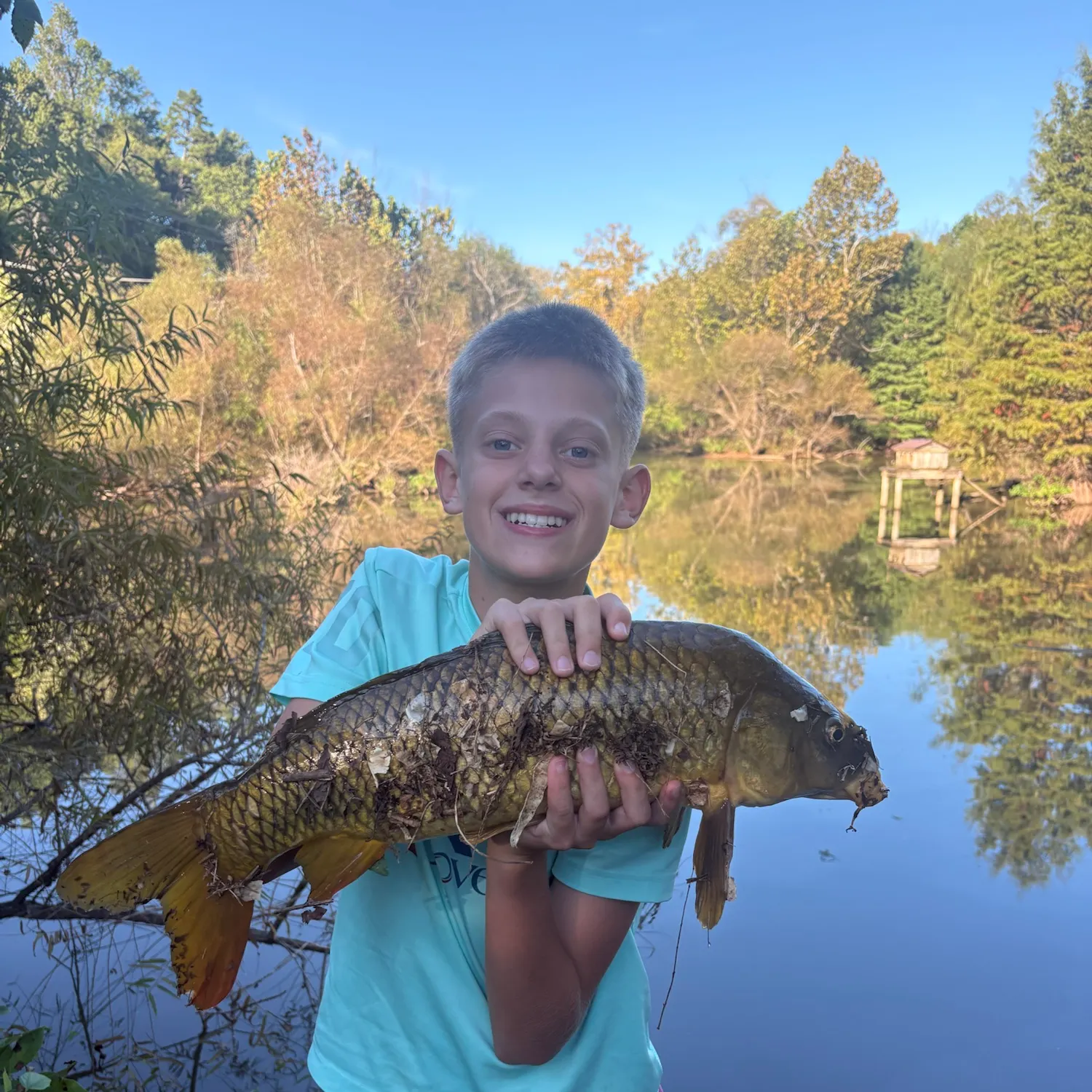 Common carp caught on Fishbrain
