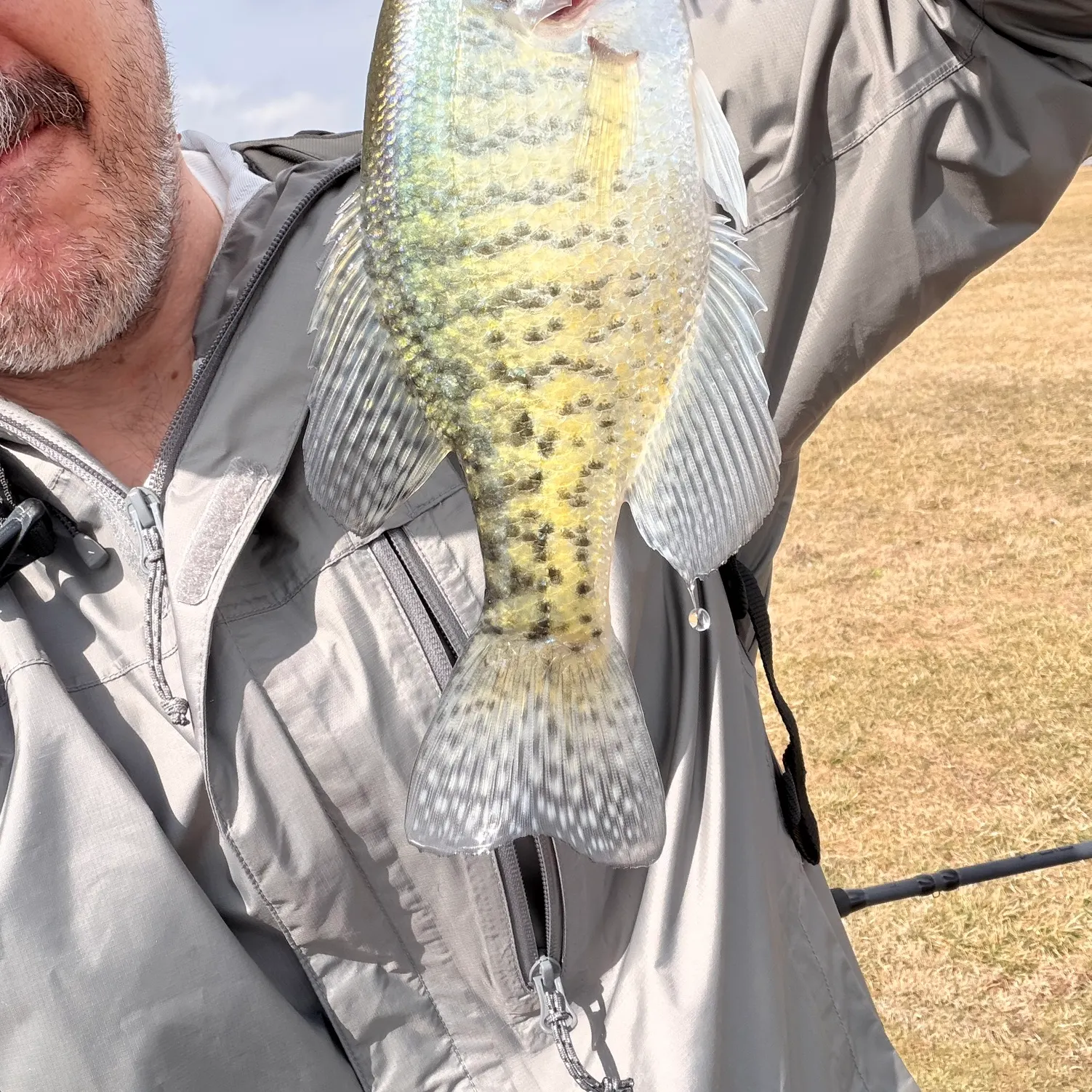 The most recent White crappie catches on Fishbrain