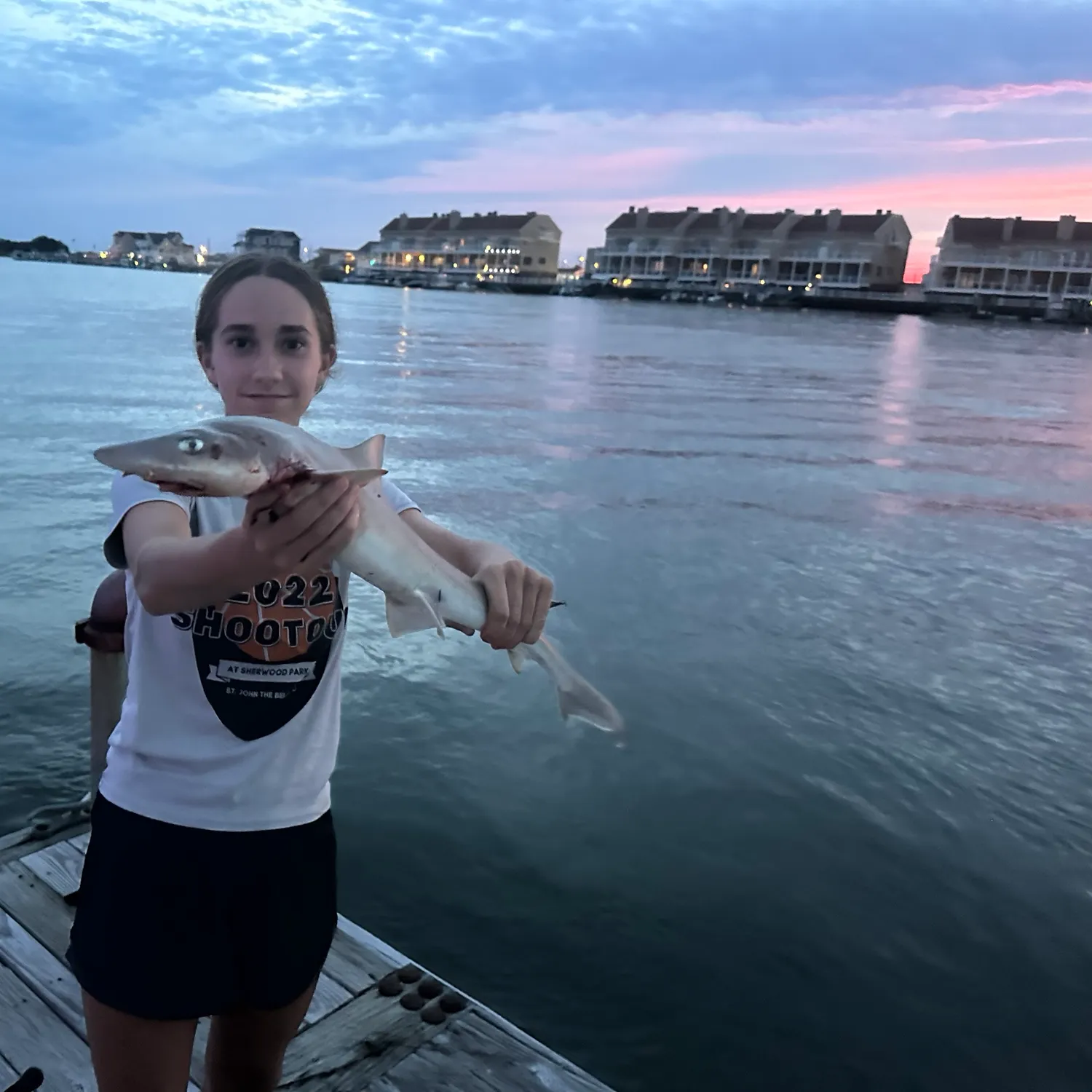 Sand tiger shark caught on Fishbrain