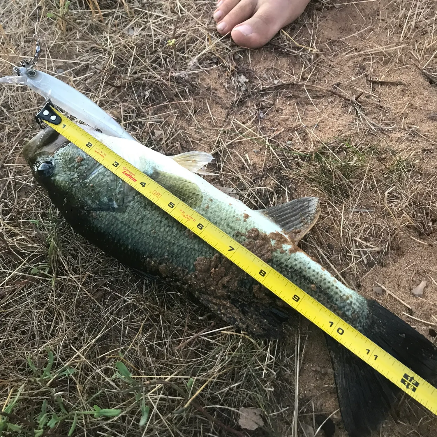 angler catch